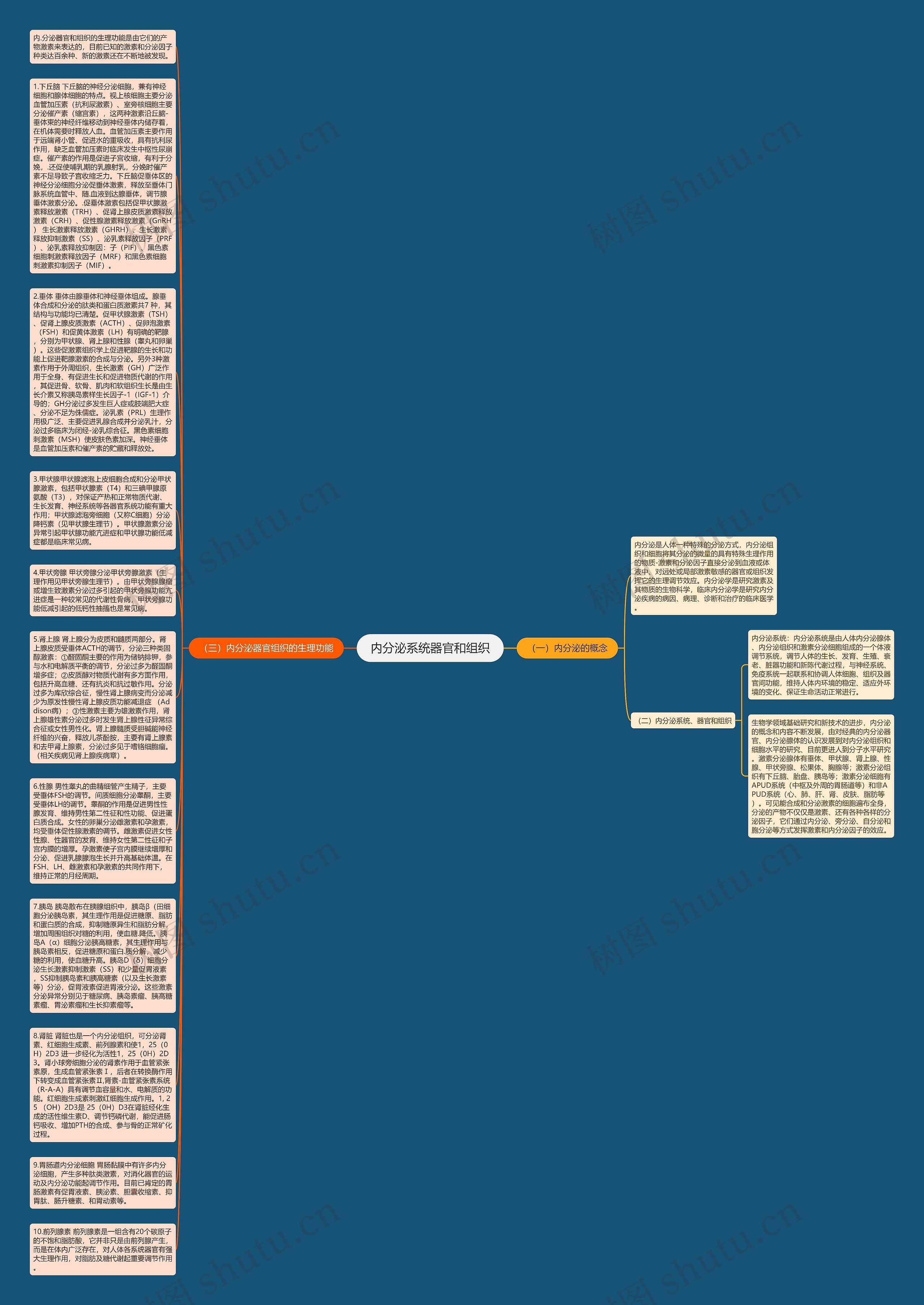 内分泌系统器官和组织思维导图