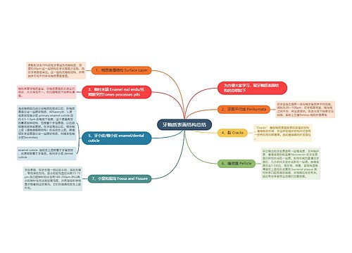 牙釉质表面结构总结