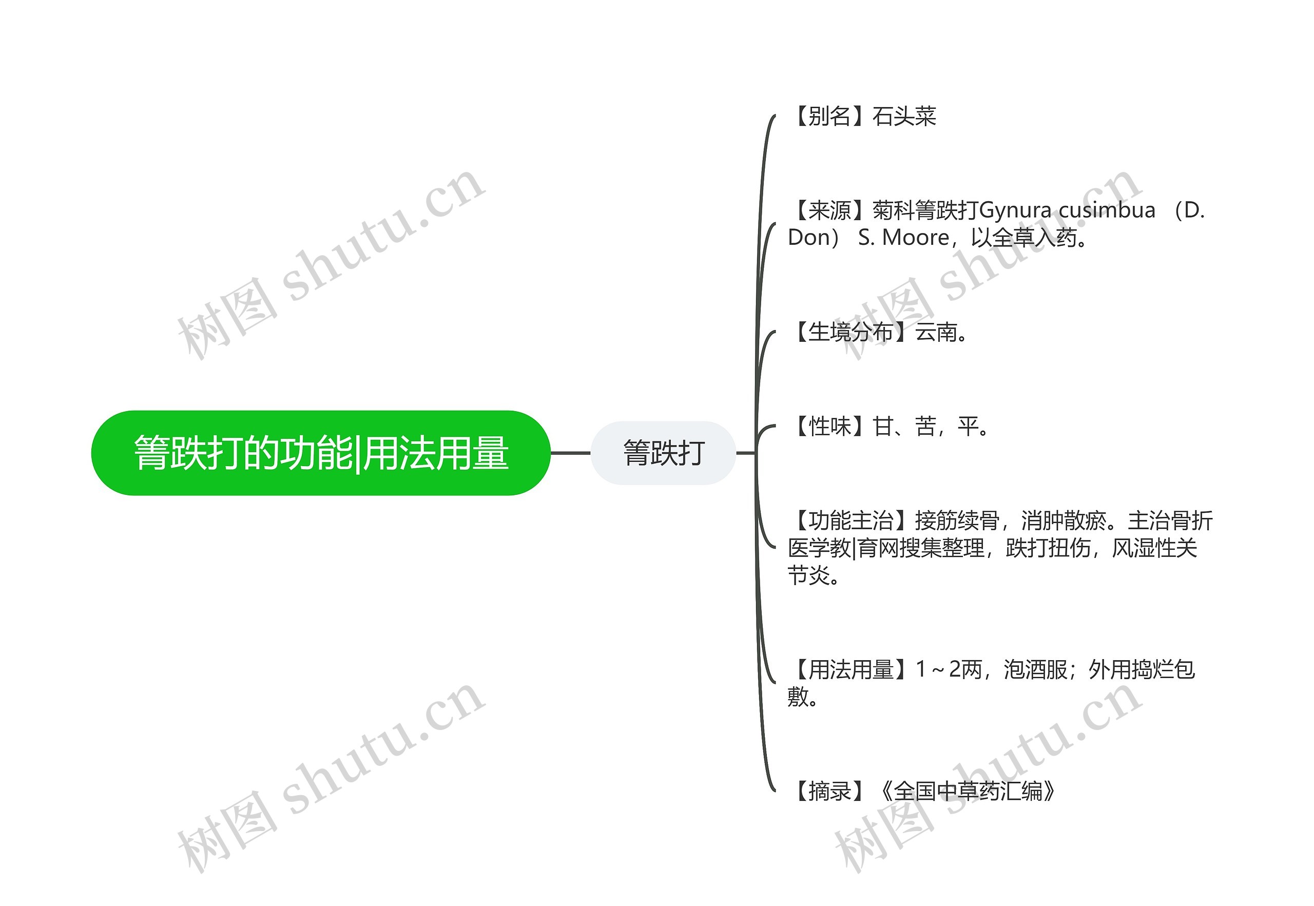 箐跌打的功能|用法用量