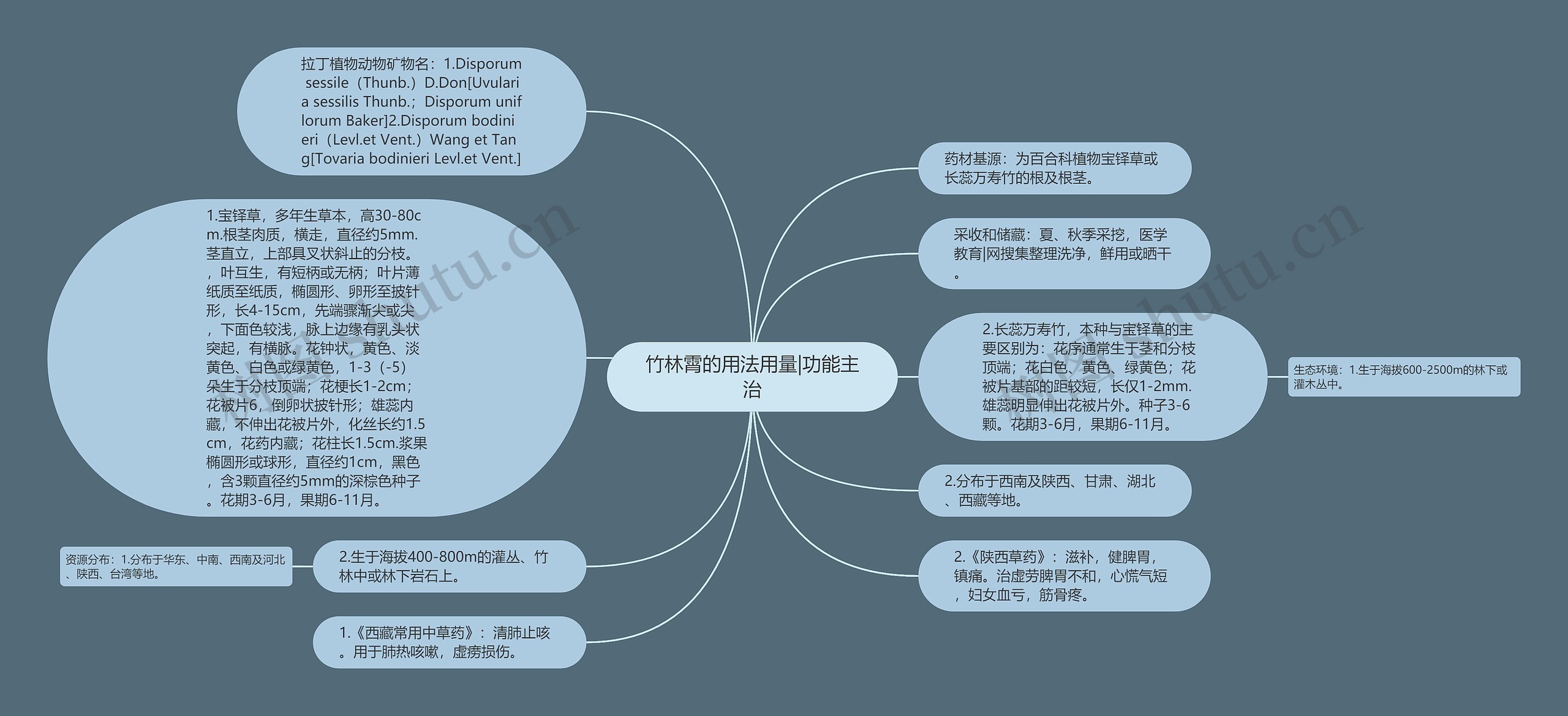 竹林霄的用法用量|功能主治