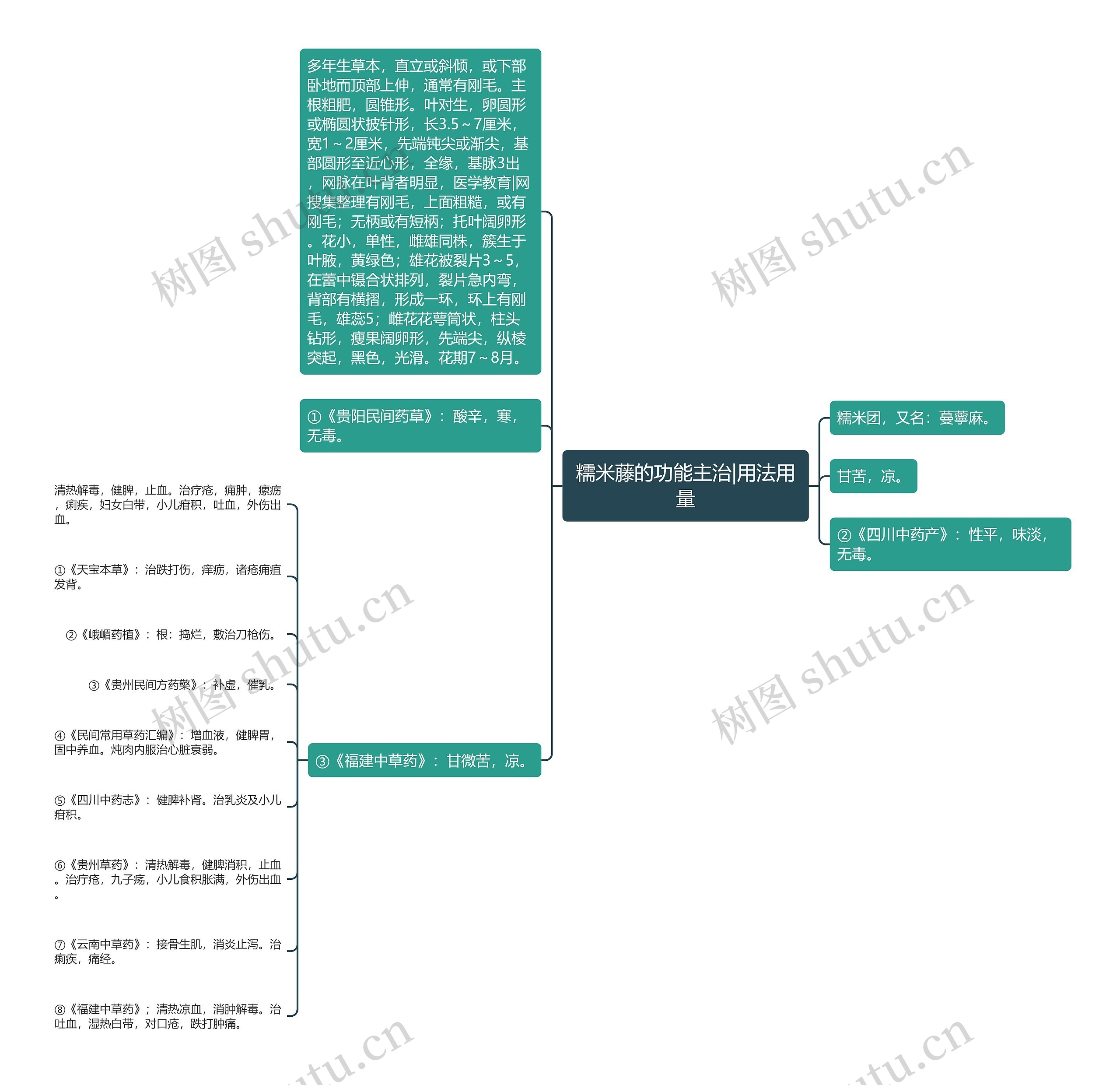 糯米藤的功能主治|用法用量思维导图