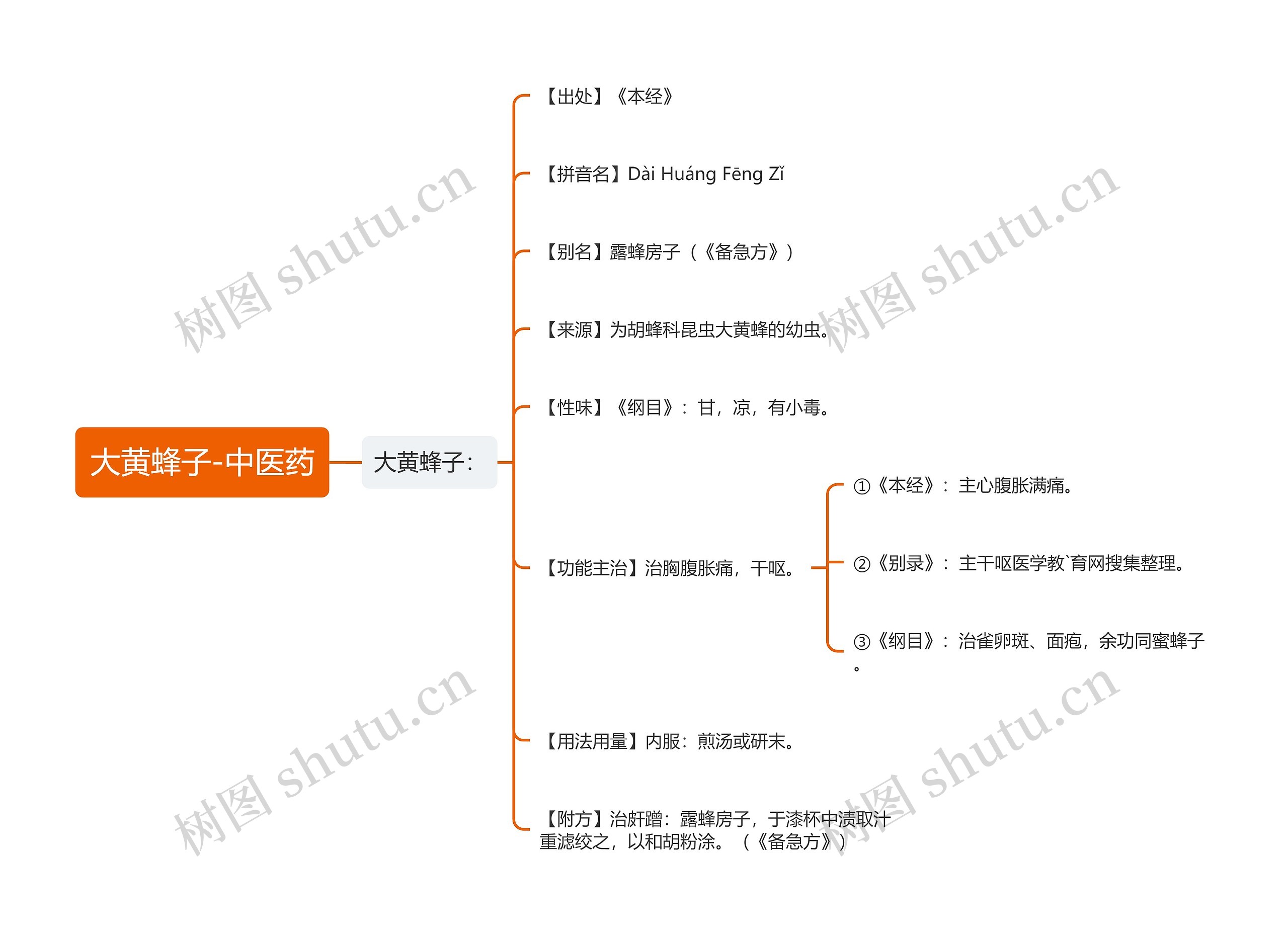 大黄蜂子-中医药思维导图
