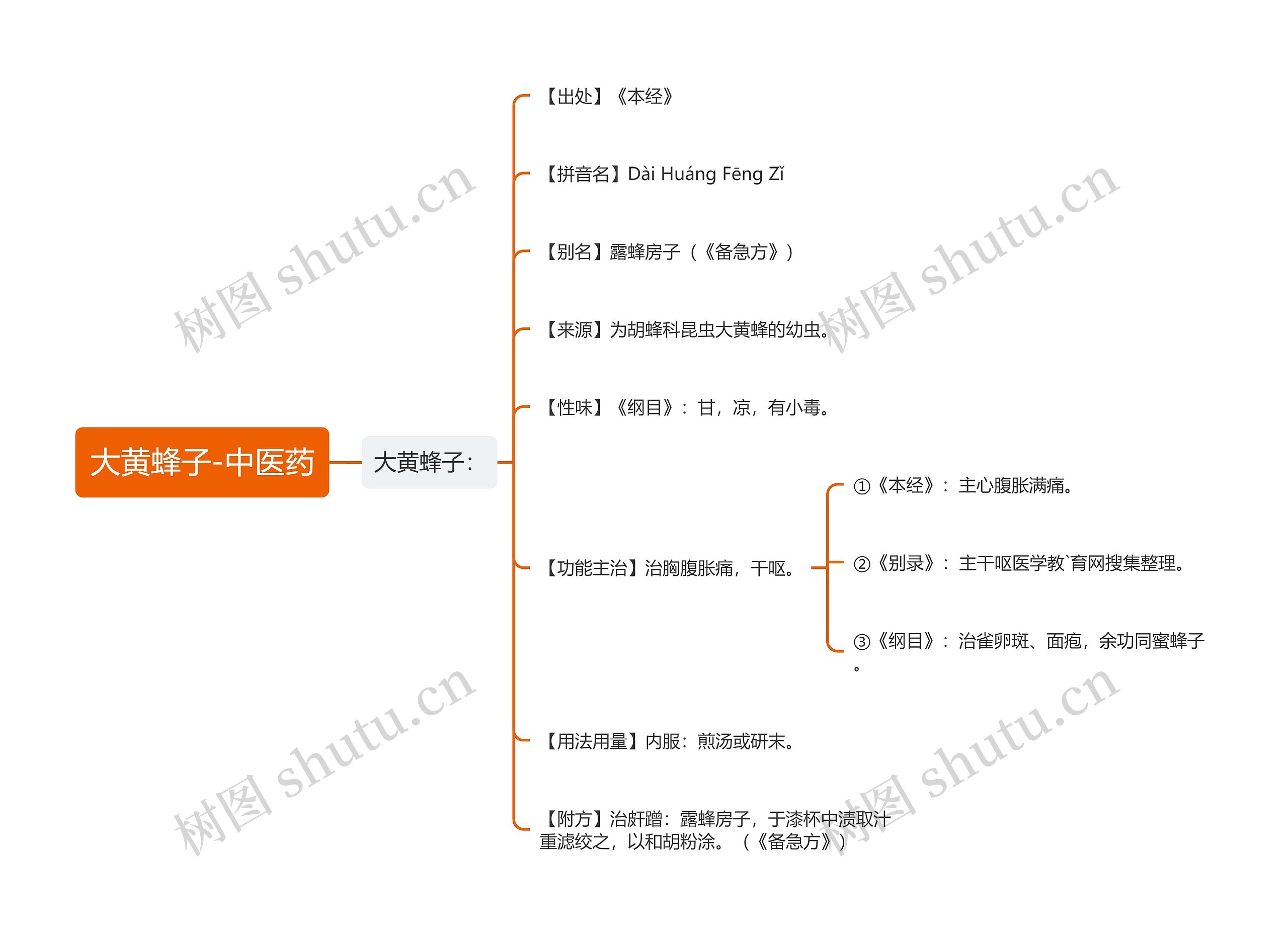 大黄蜂子-中医药 大黄蜂子-中医药
