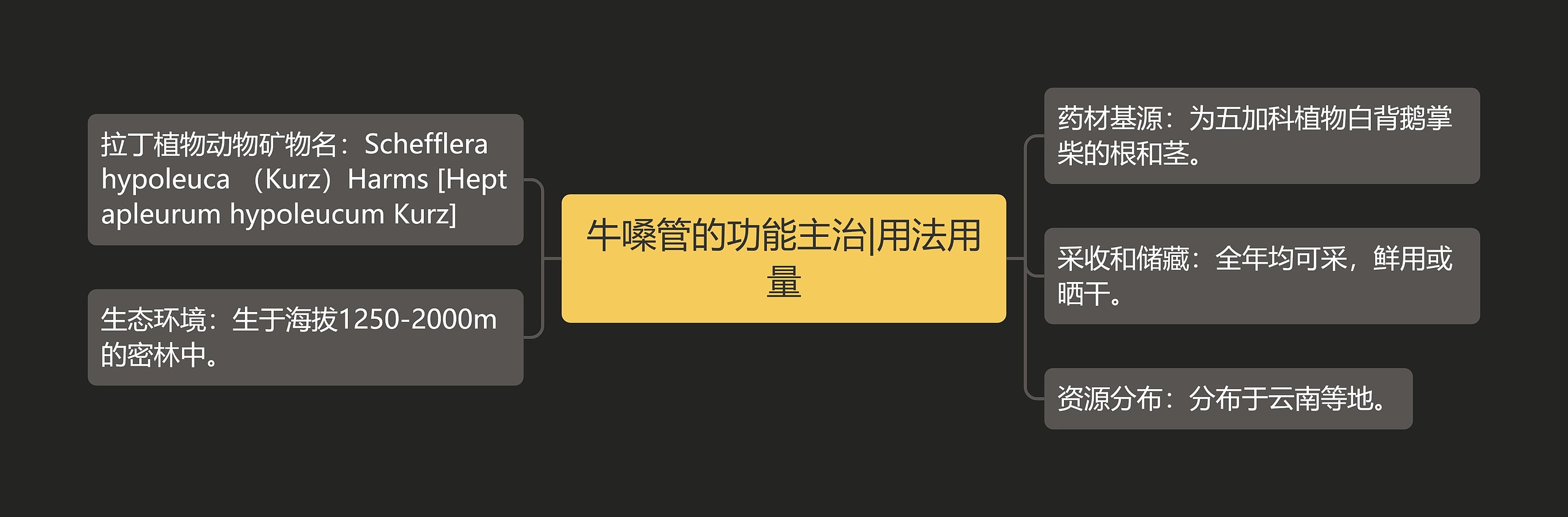 牛嗓管的功能主治|用法用量 牛嗓管的功能主治|用法用量