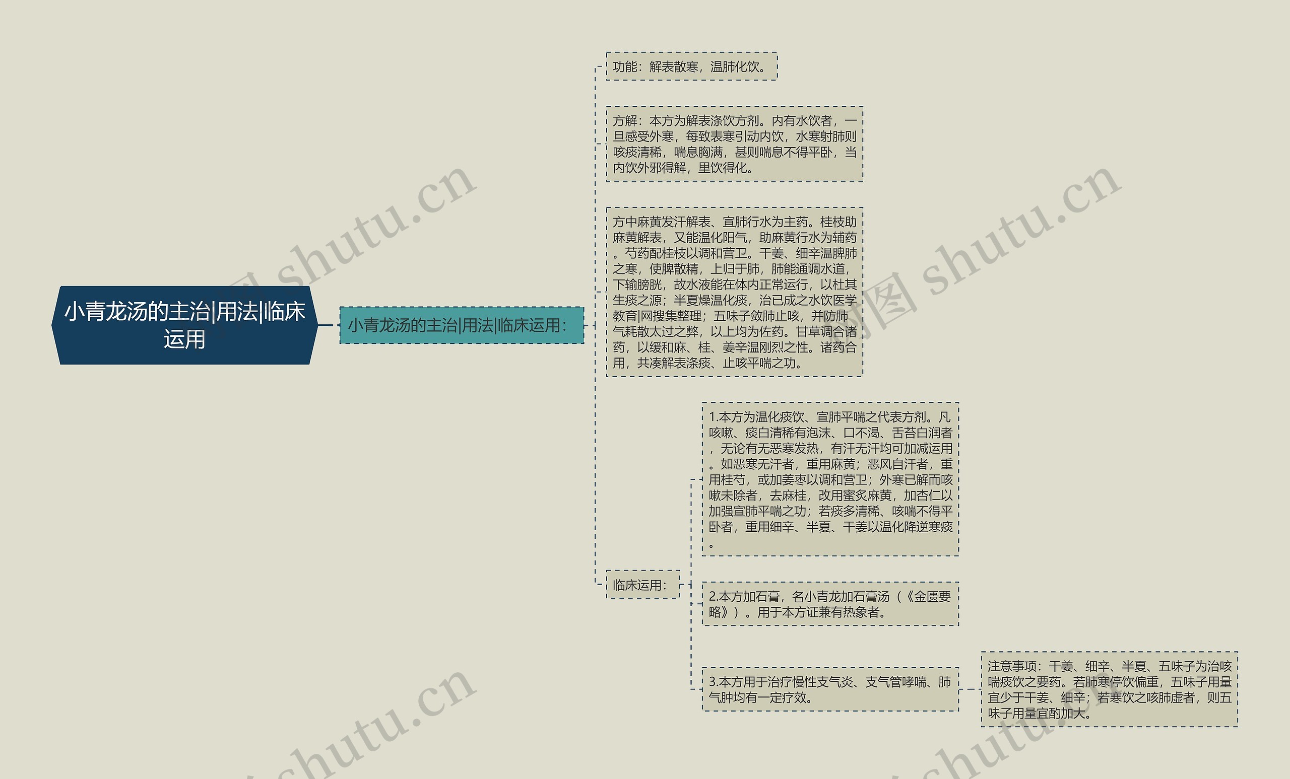 小青龙汤的主治|用法|临床运用思维导图