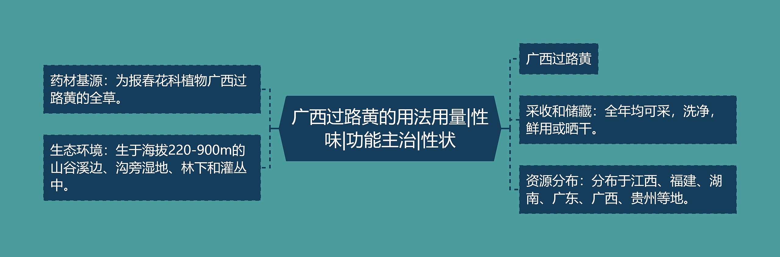 广西过路黄的用法用量|性味|功能主治|性状 广西过路黄的用法用量|性味|功能主治|性状