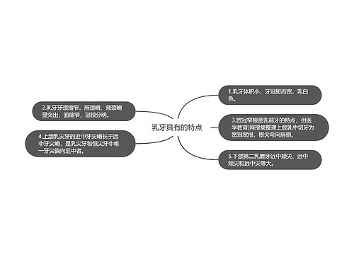 乳牙具有的特点