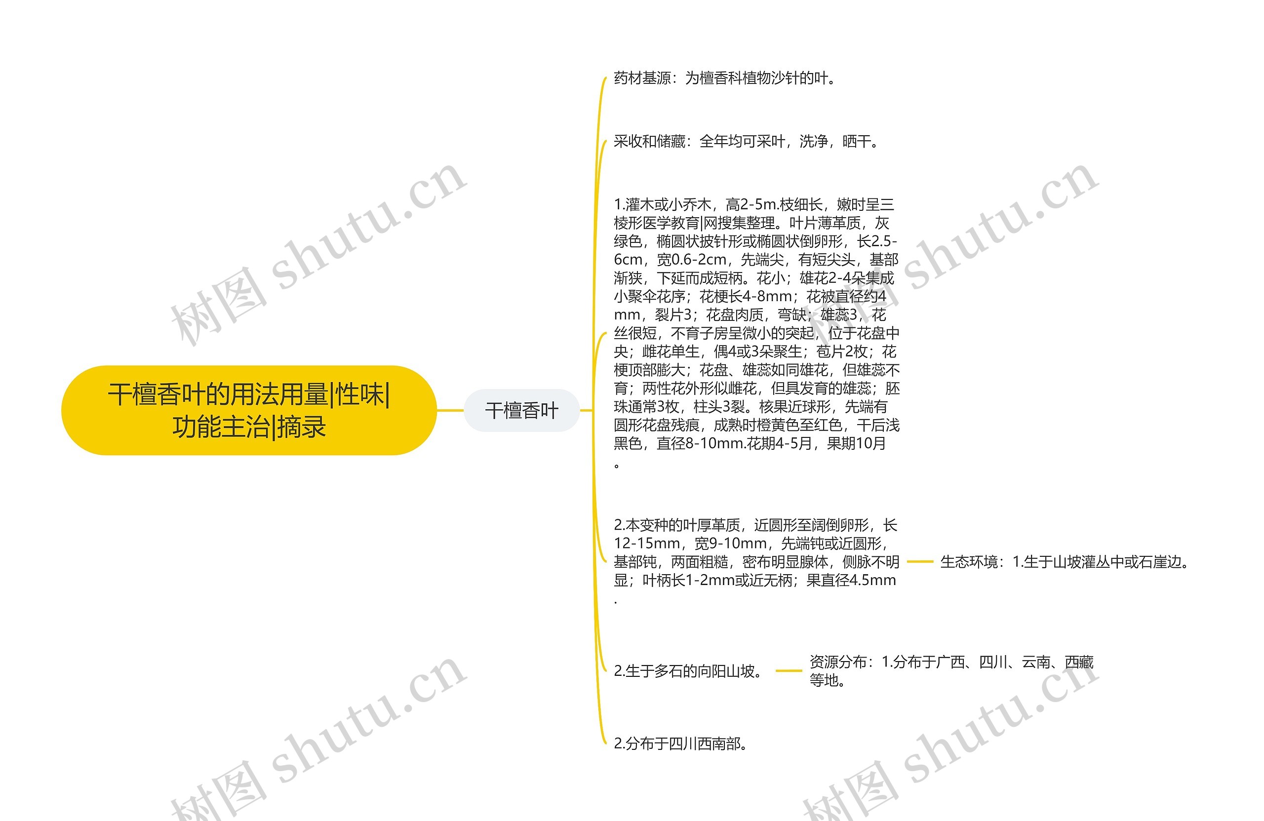 干檀香叶的用法用量|性味|功能主治|摘录思维导图