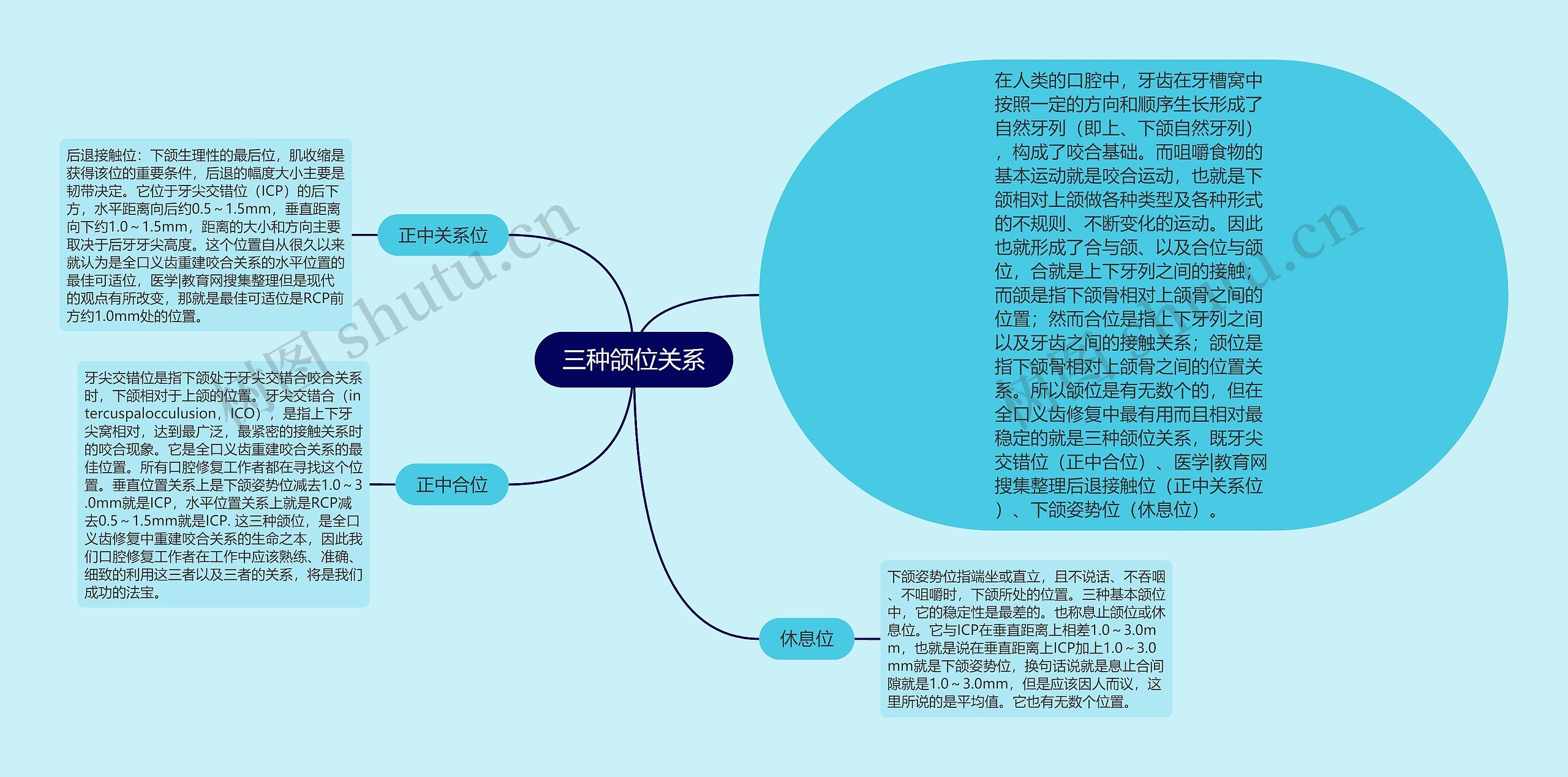 三种颌位关系