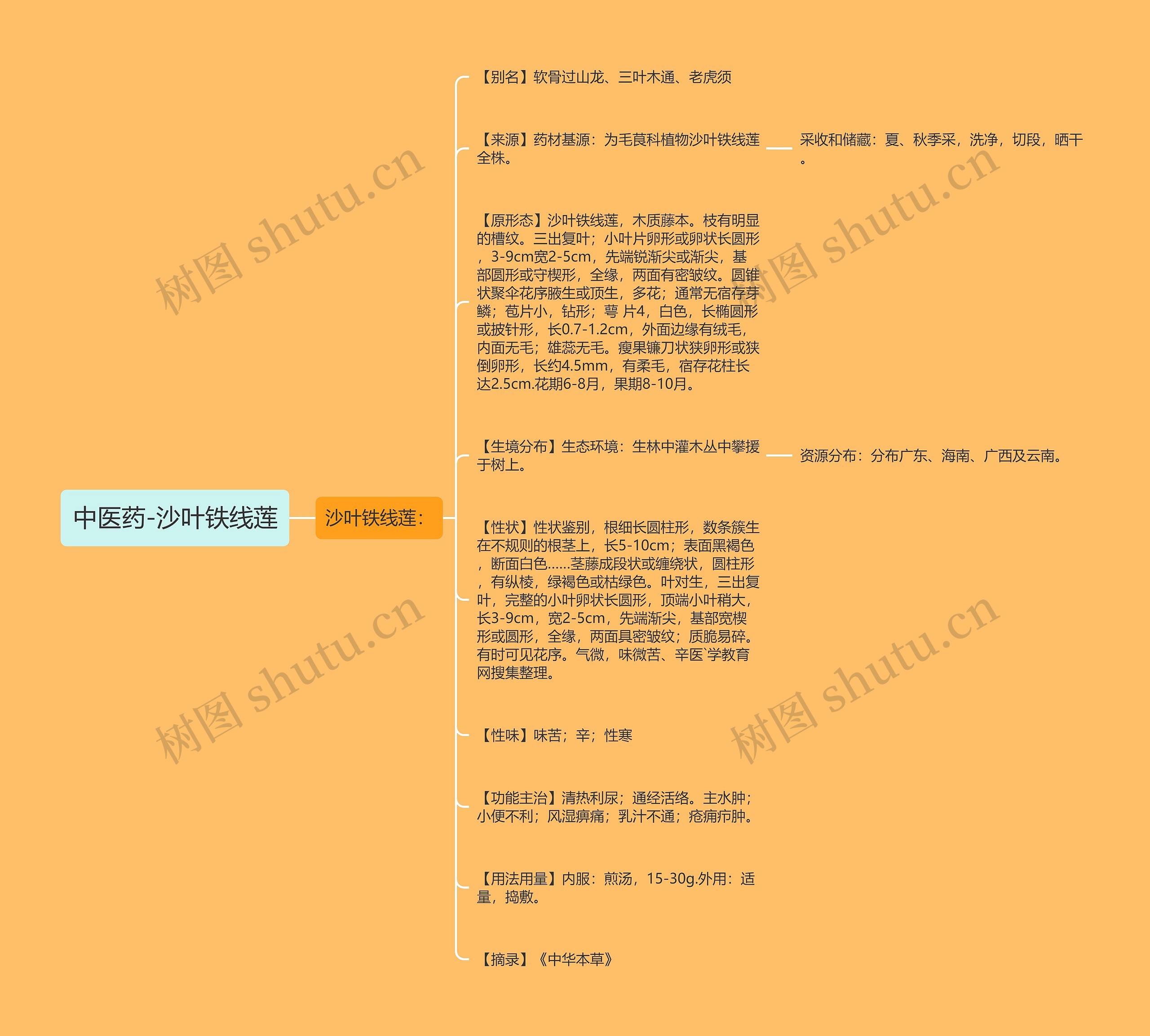 中医药-沙叶铁线莲思维导图