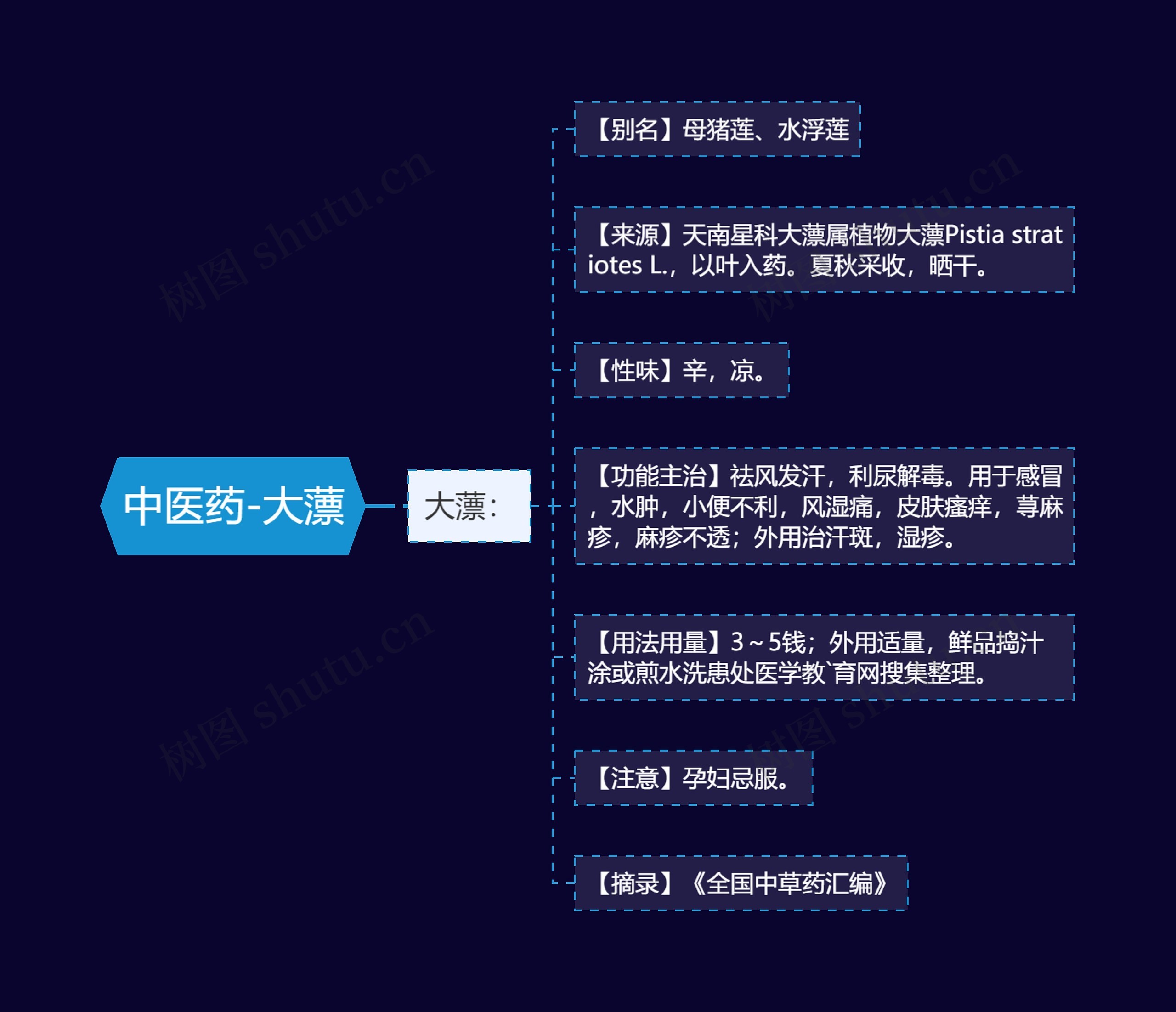 中医药-大薸思维导图