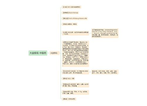 大金银花-中医药