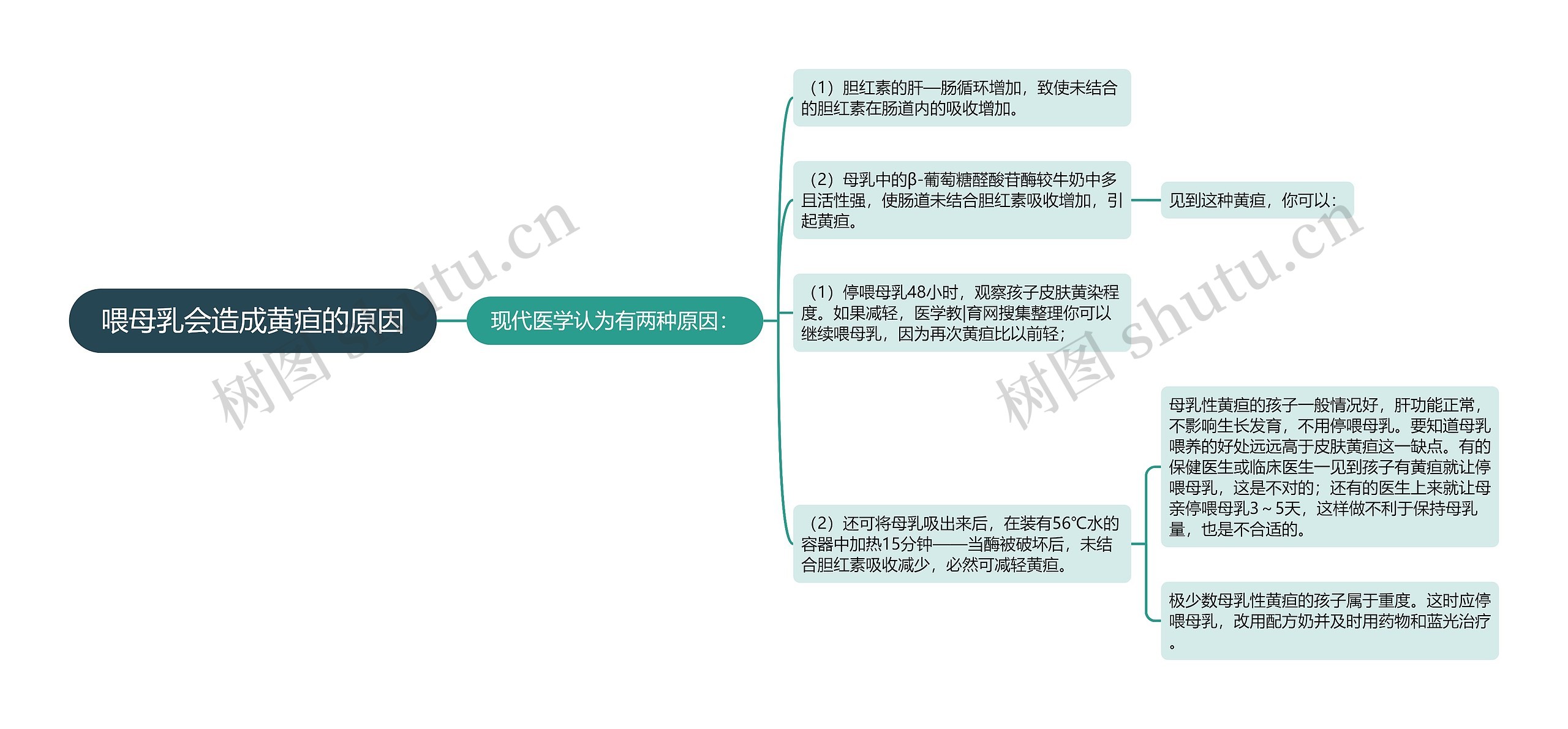 喂母乳会造成黄疸的原因思维导图