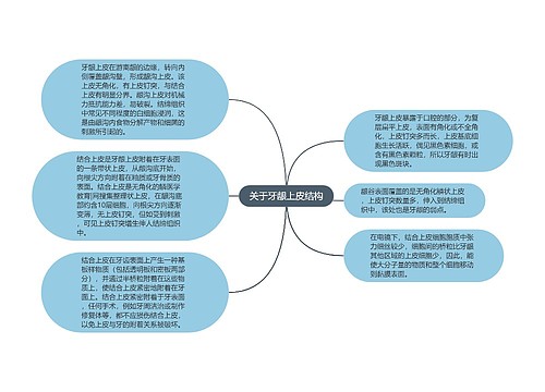 关于牙龈上皮结构