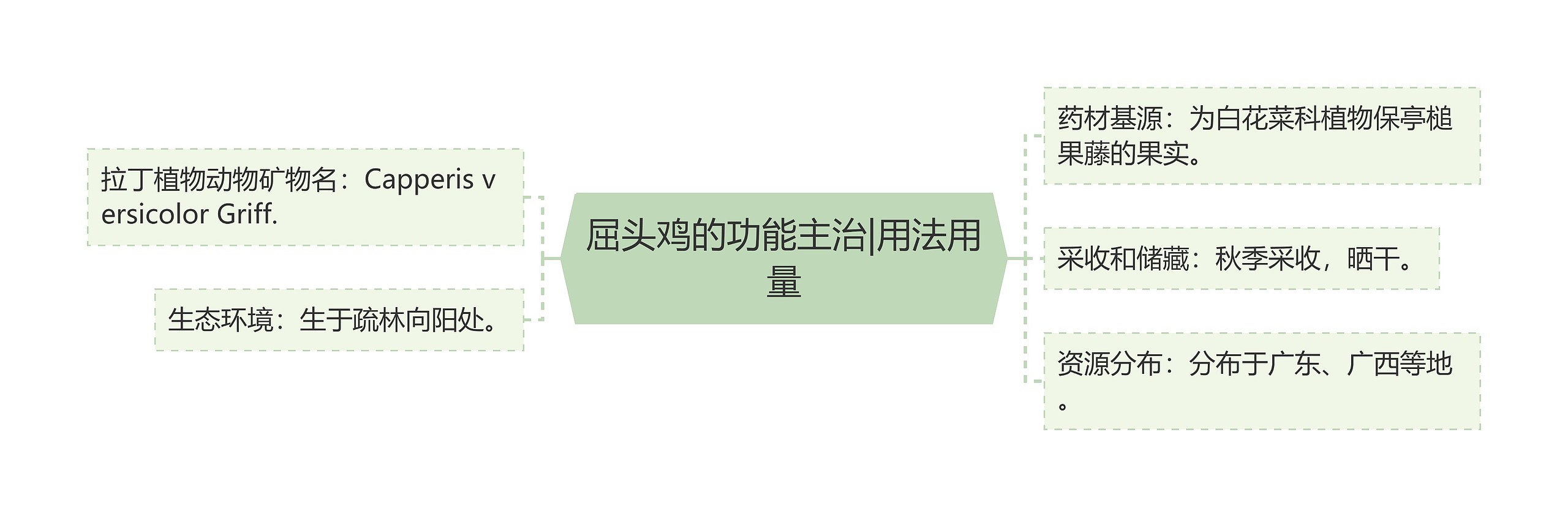 屈头鸡的功能主治|用法用量 屈头鸡的功能主治|用法用量