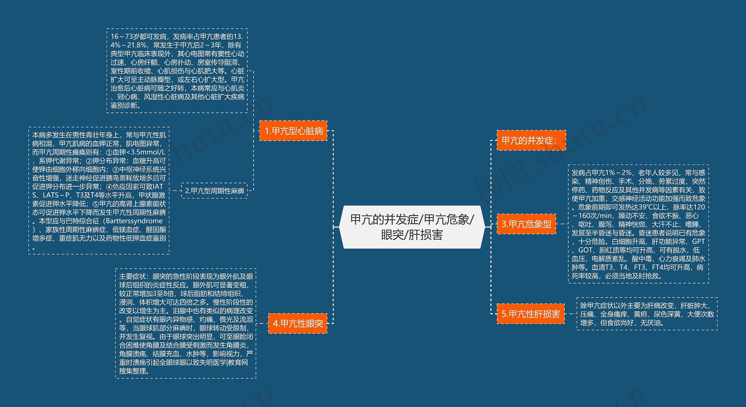 甲亢的并发症/甲亢危象/眼突/肝损害思维导图