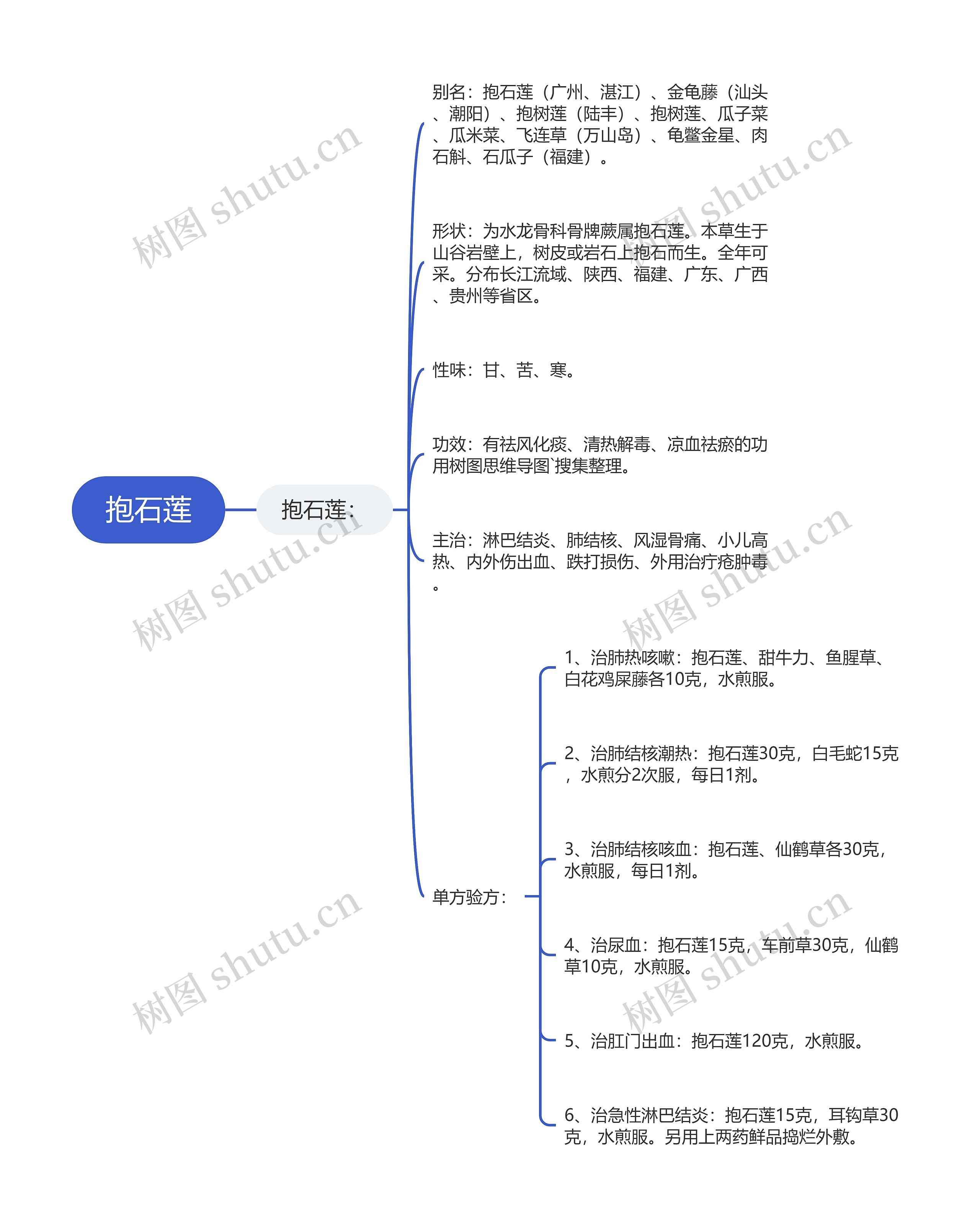 抱石莲思维导图