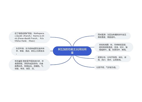 树五加的功能主治|用法用量