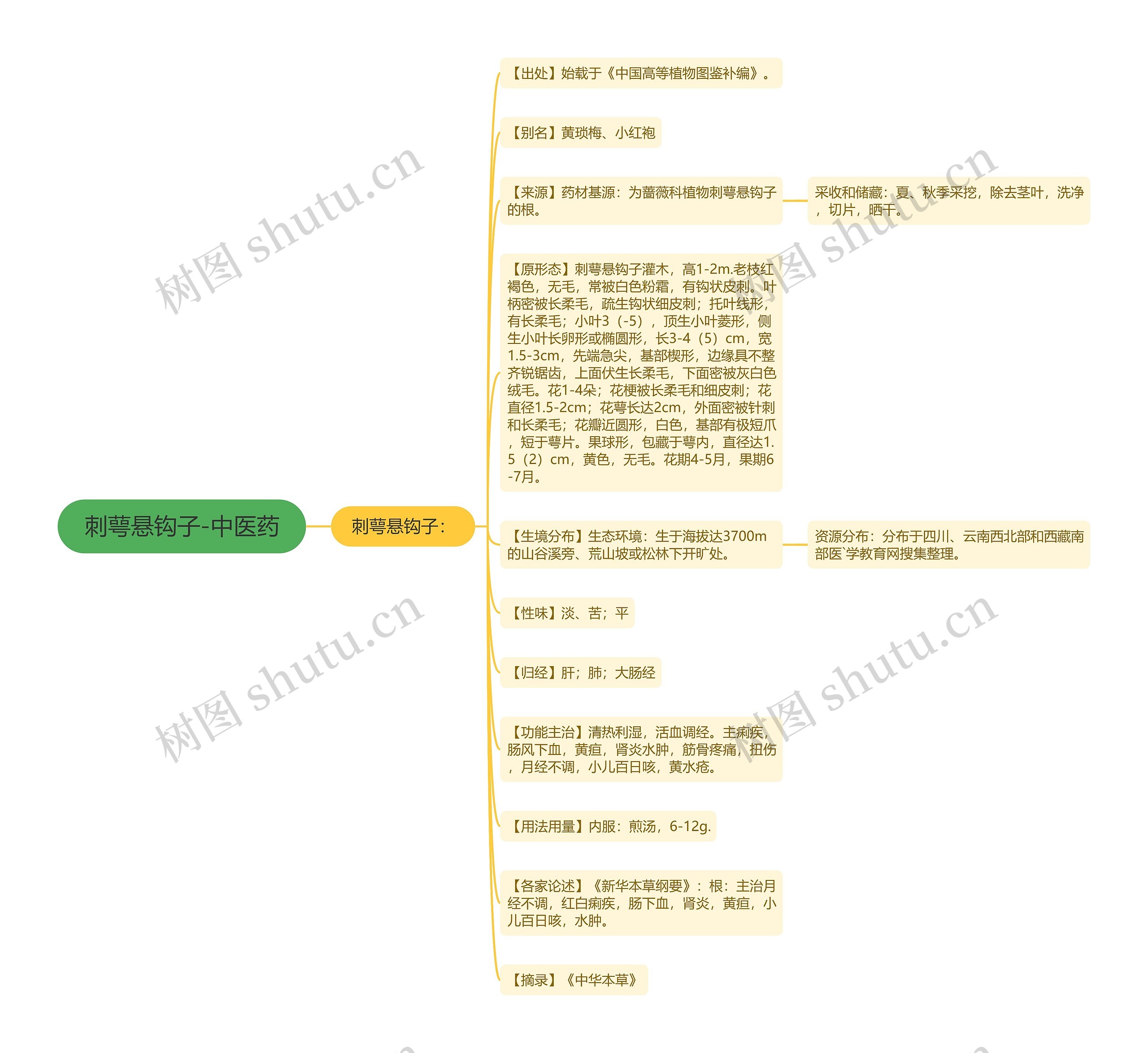刺萼悬钩子-中医药思维导图