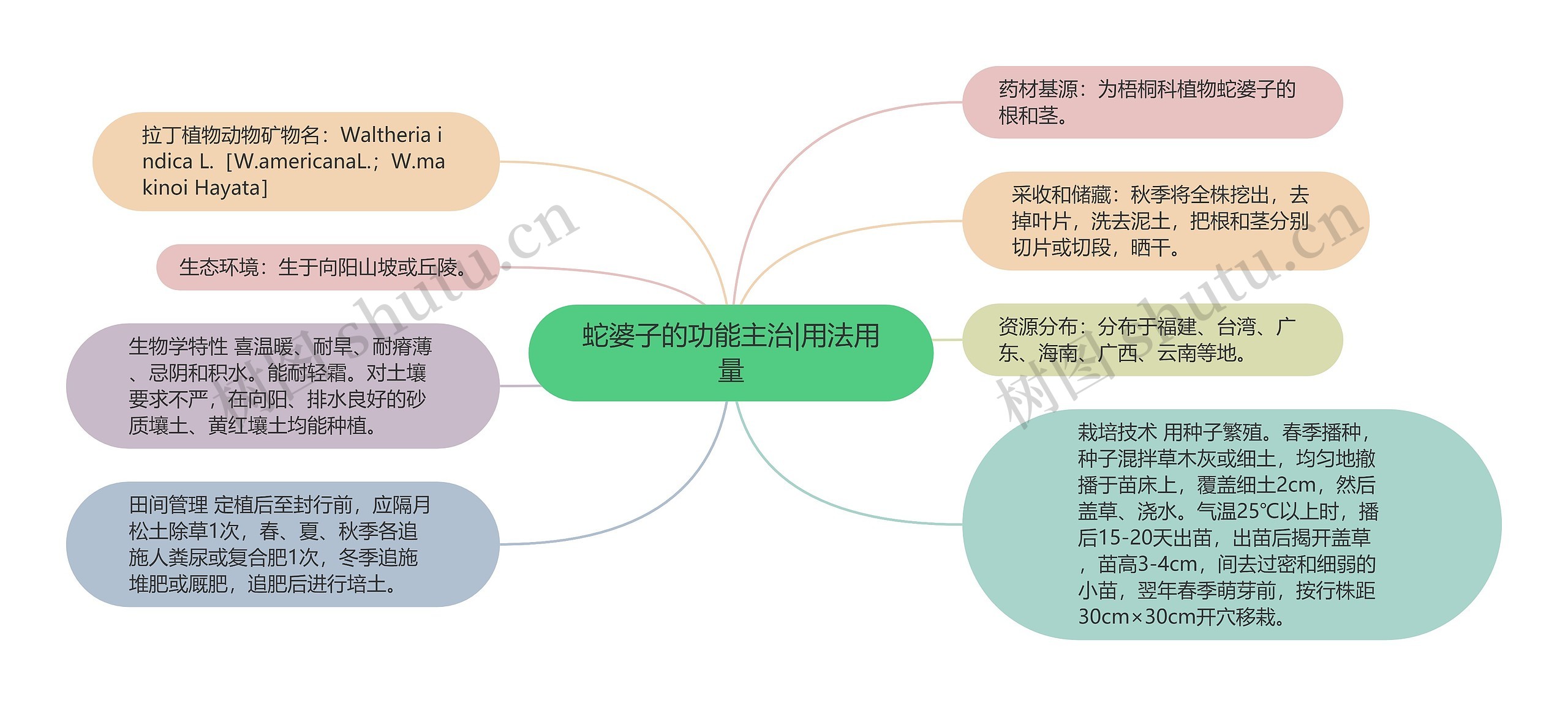 蛇婆子的功能主治|用法用量