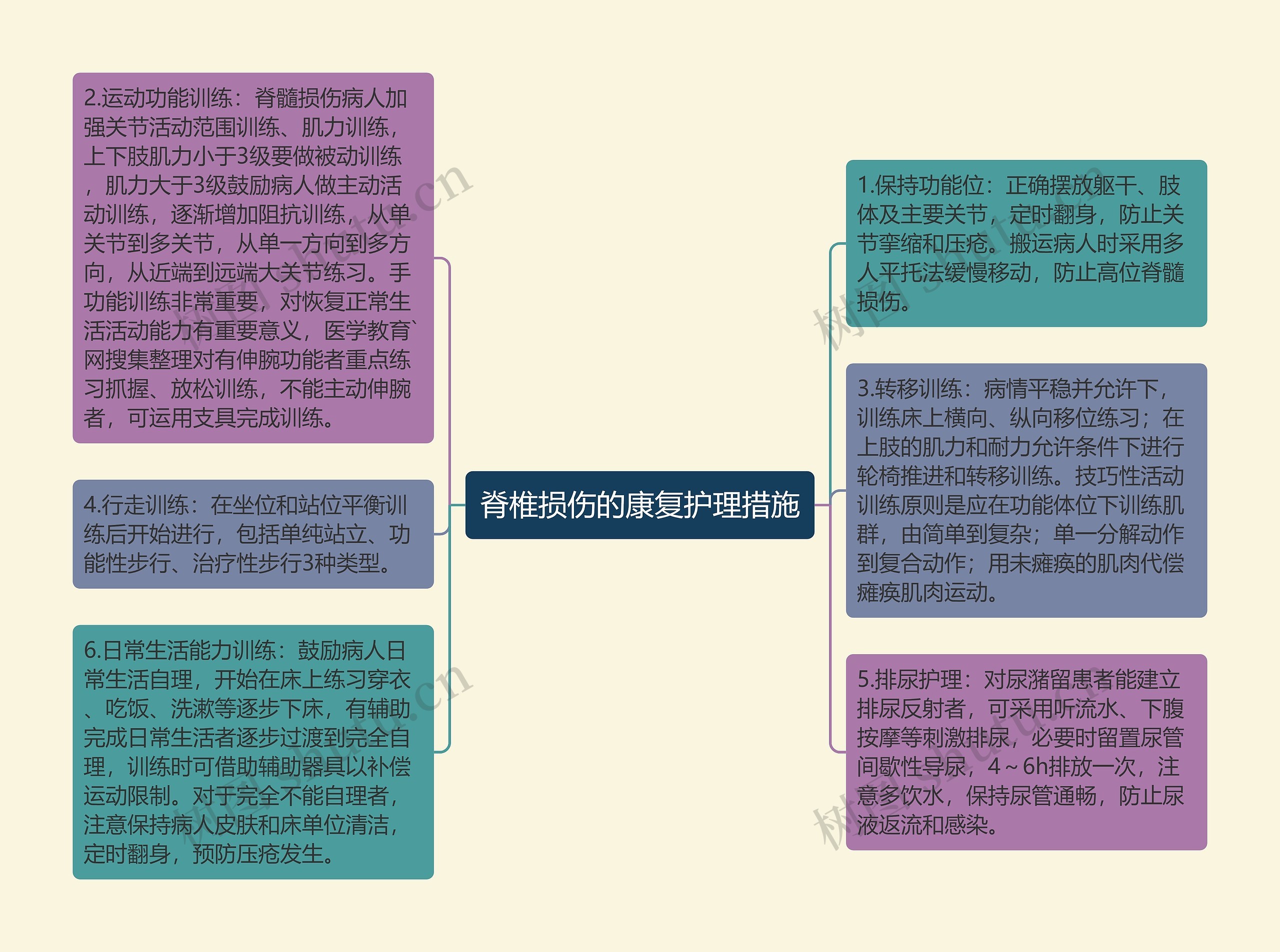 脊椎损伤的康复护理措施思维导图