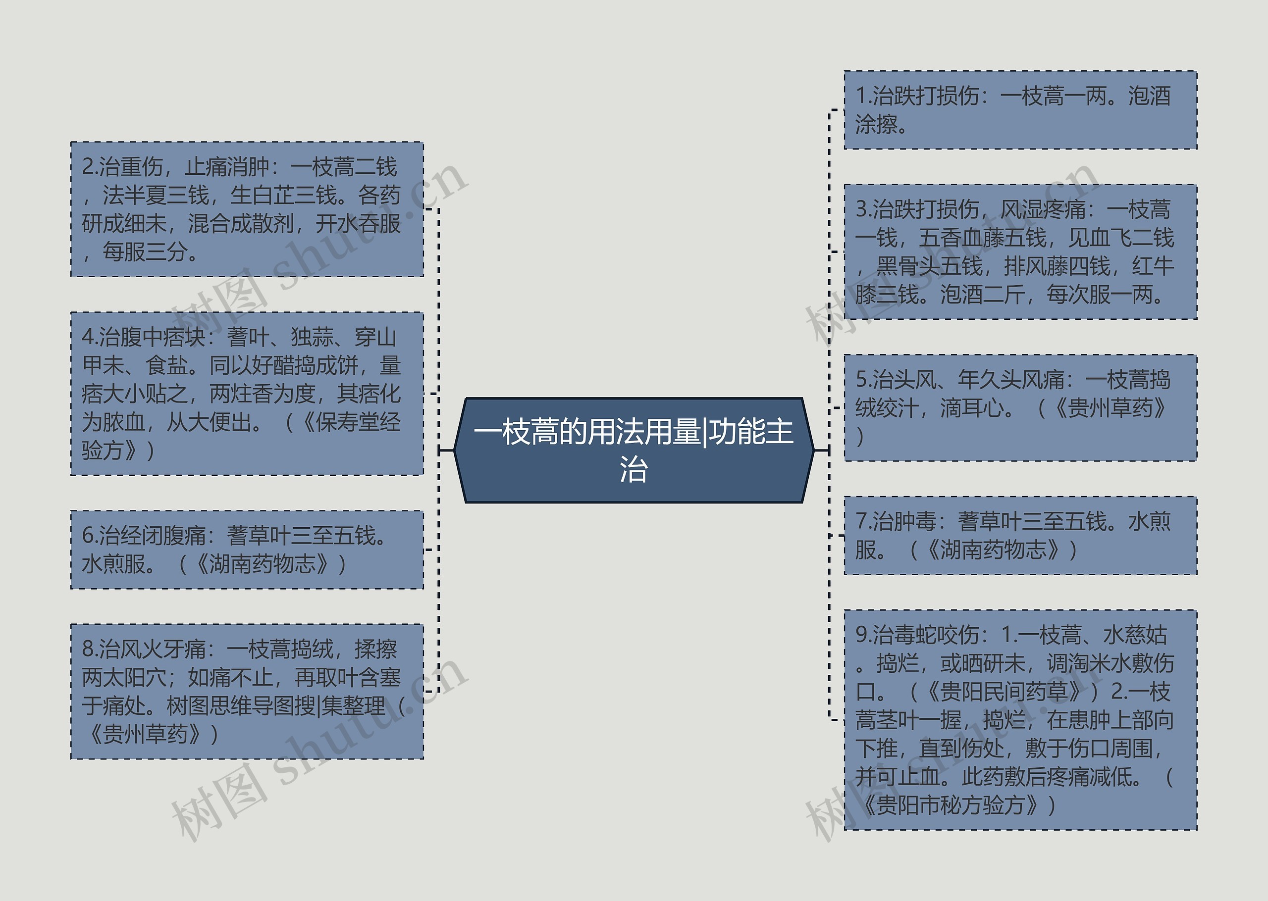 一枝蒿的用法用量|功能主治思维导图