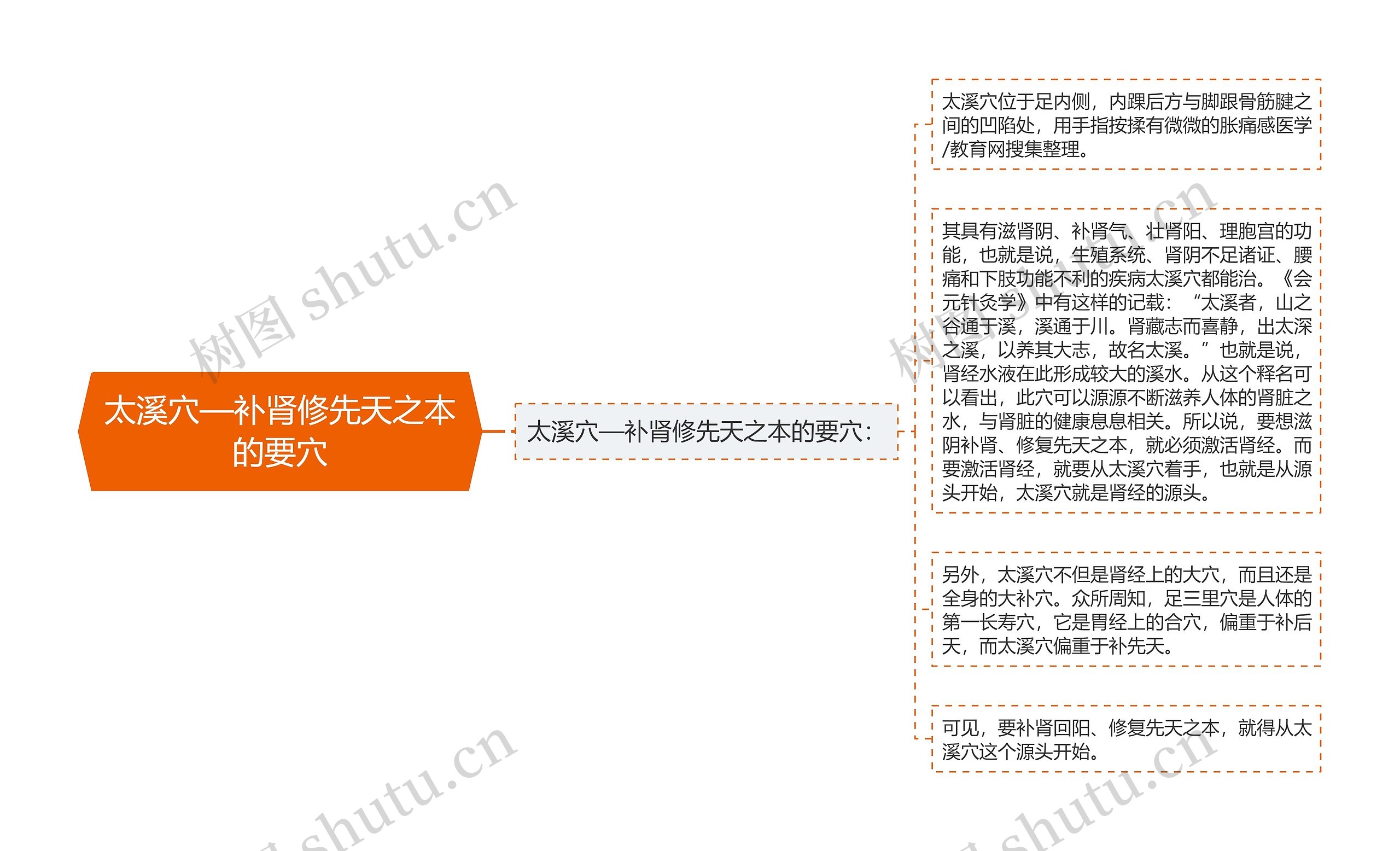 太溪穴—补肾修先天之本的要穴思维导图