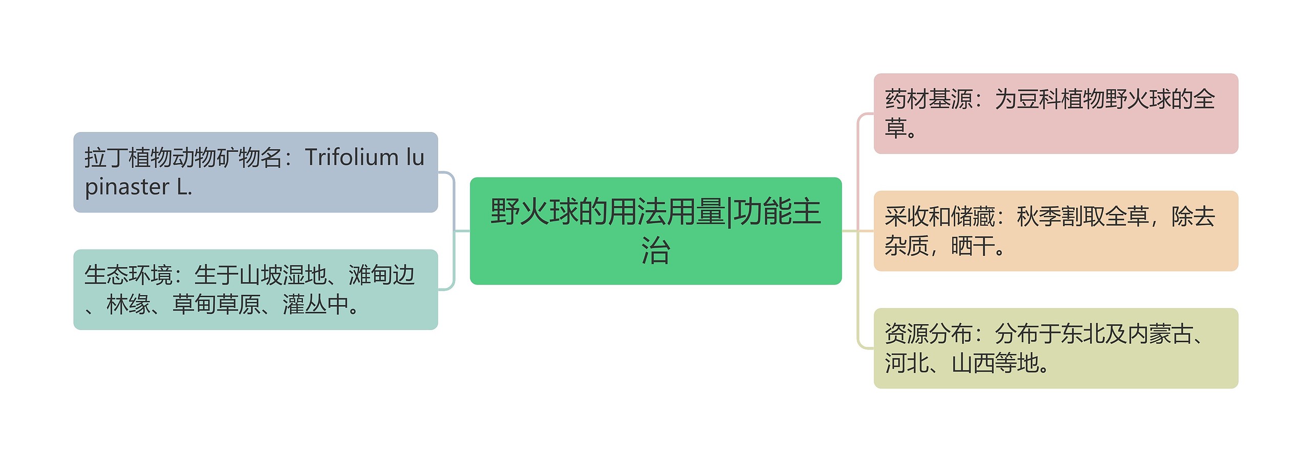 野火球的用法用量|功能主治思维导图