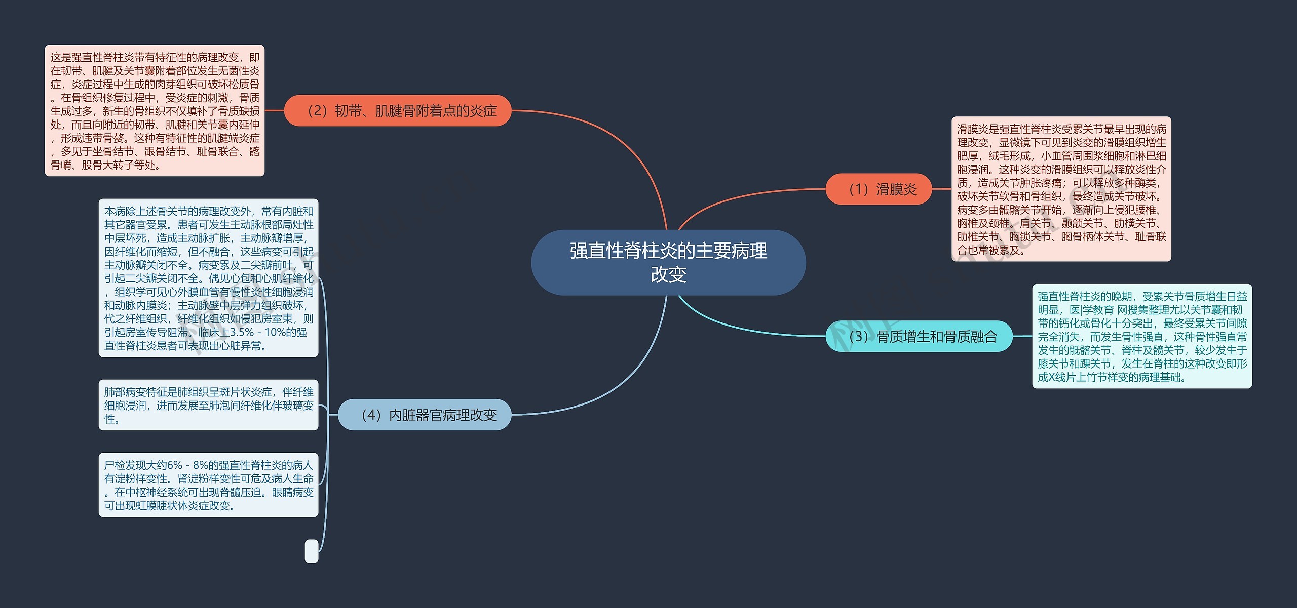 强直性脊柱炎的主要病理改变思维导图