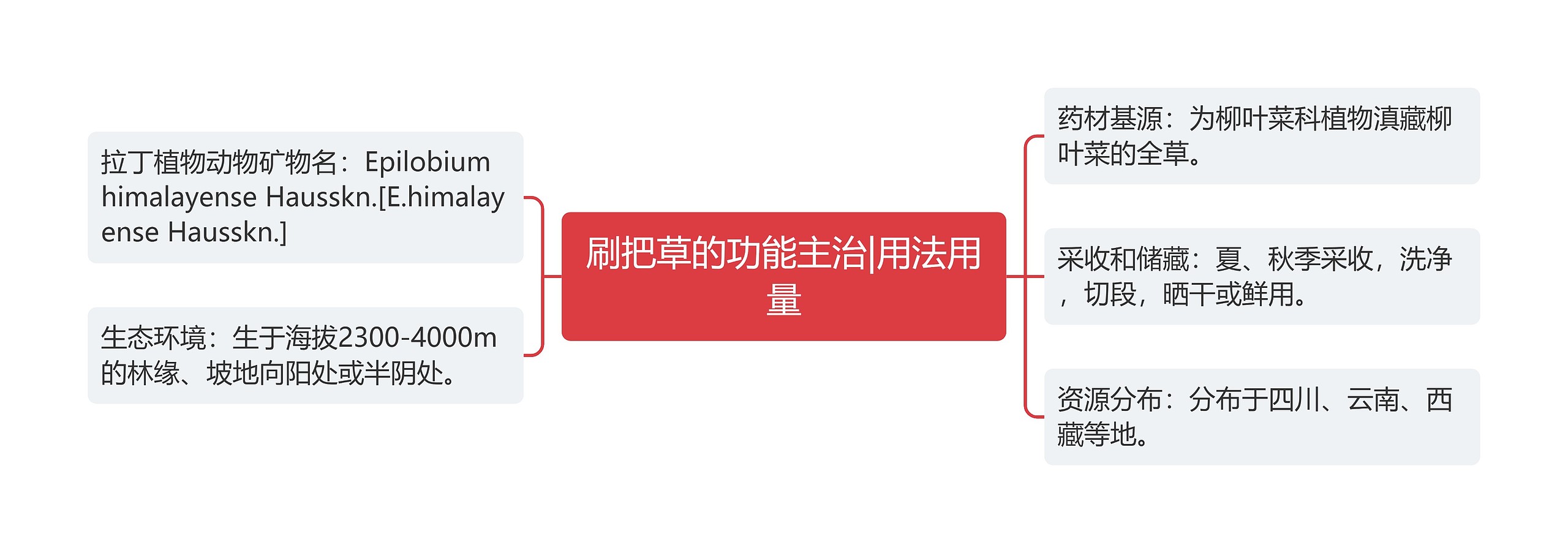 刷把草的功能主治|用法用量 刷把草的功能主治|用法用量