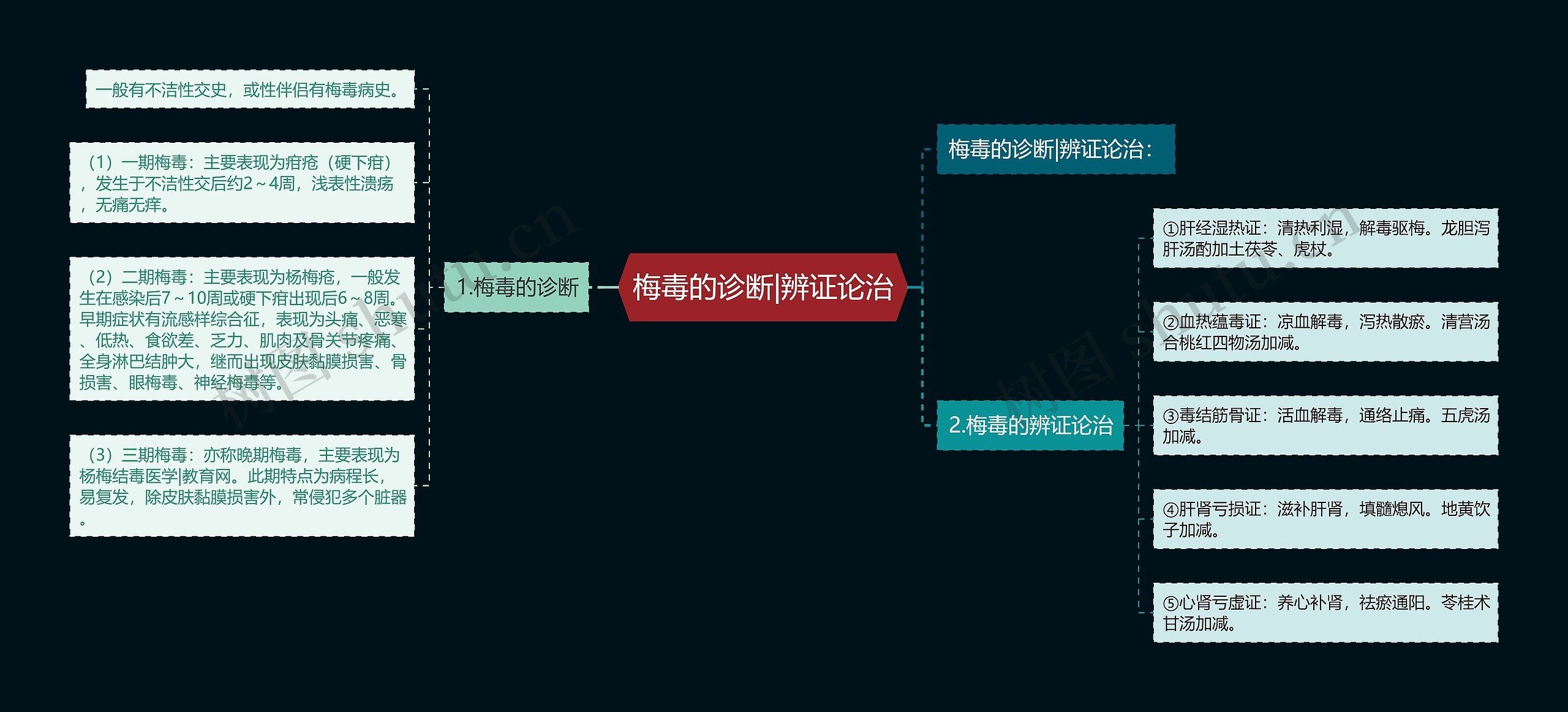 梅毒的诊断|辨证论治思维导图