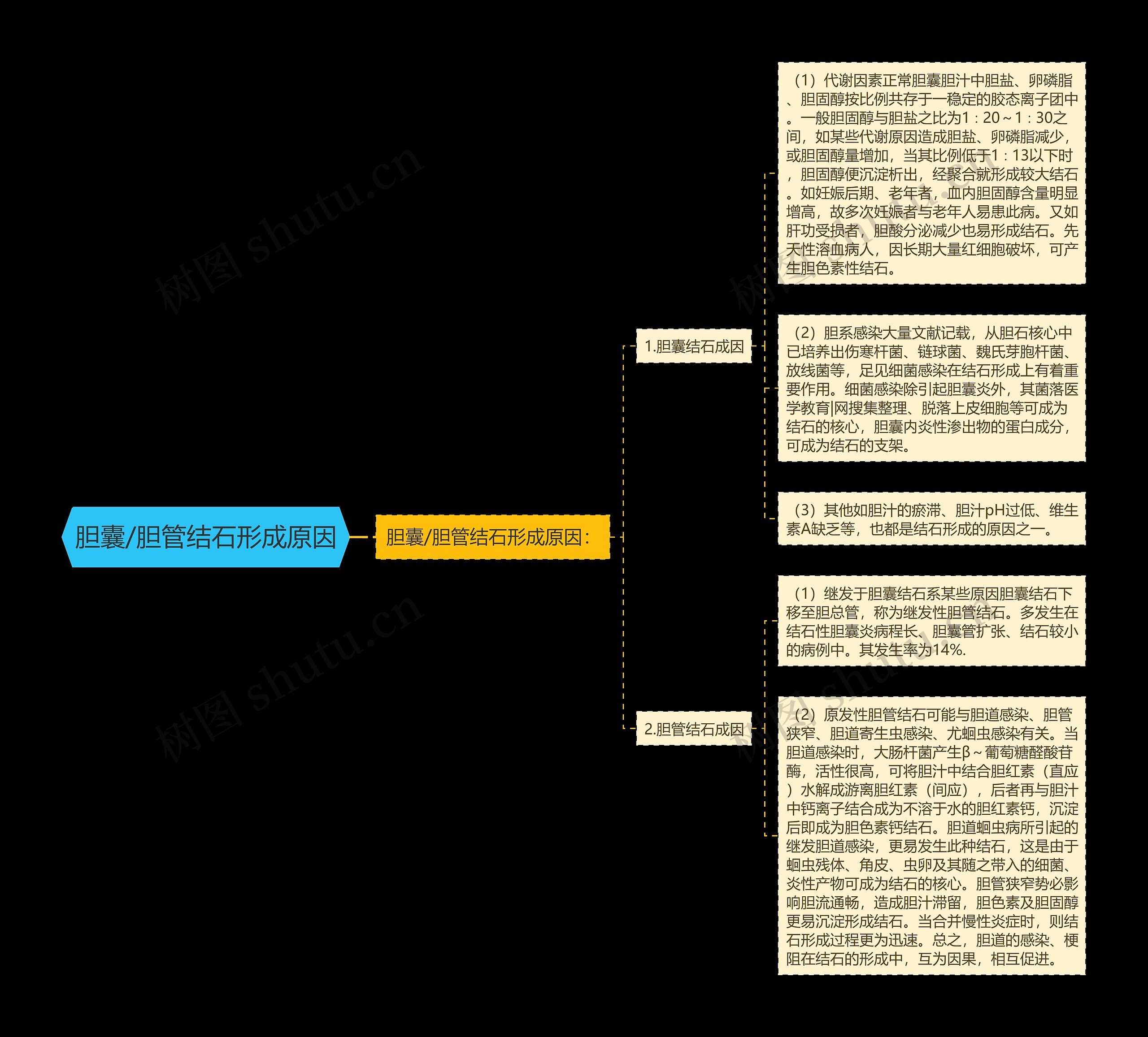 胆囊/胆管结石形成原因