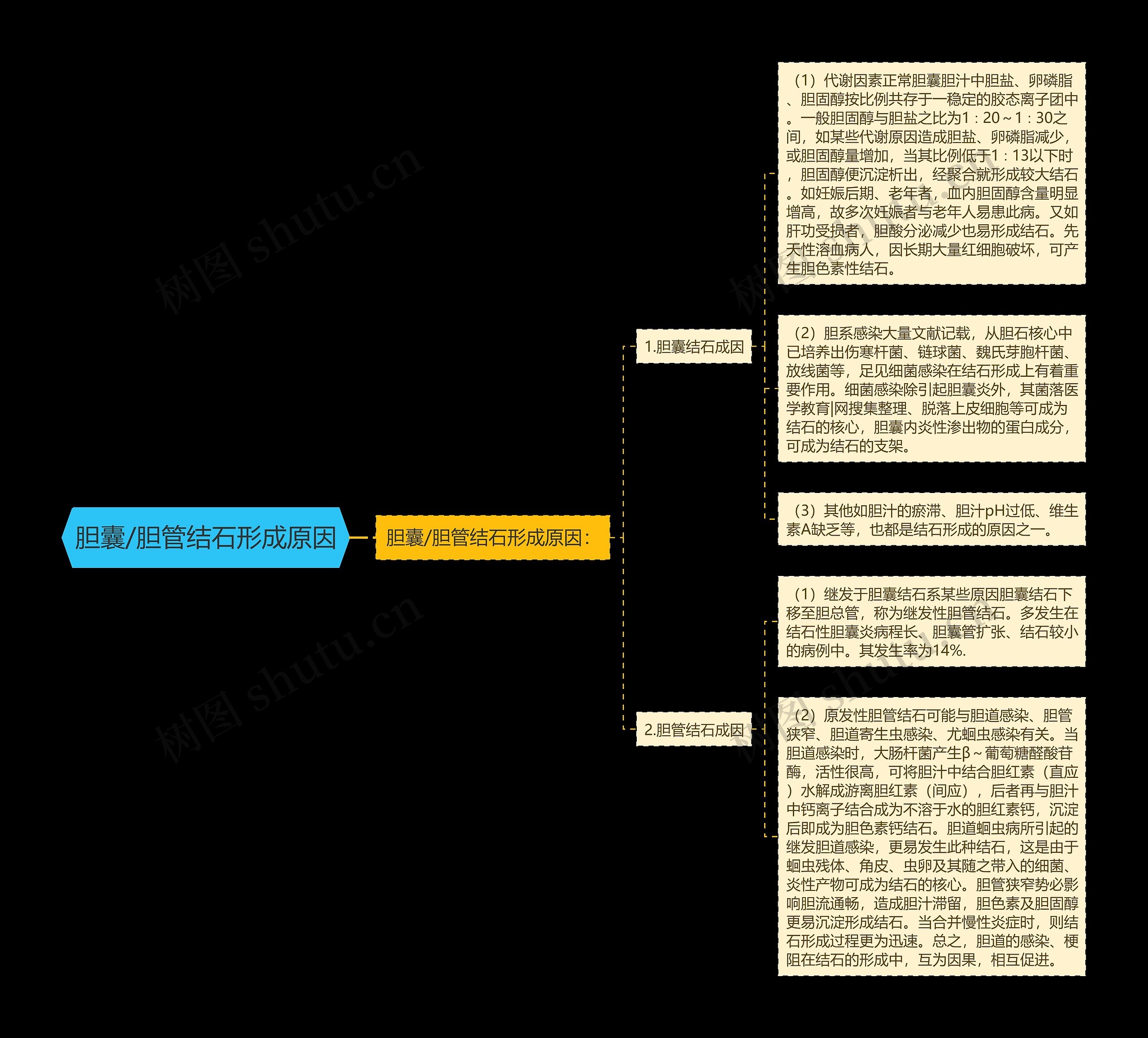 胆囊/胆管结石形成原因思维导图