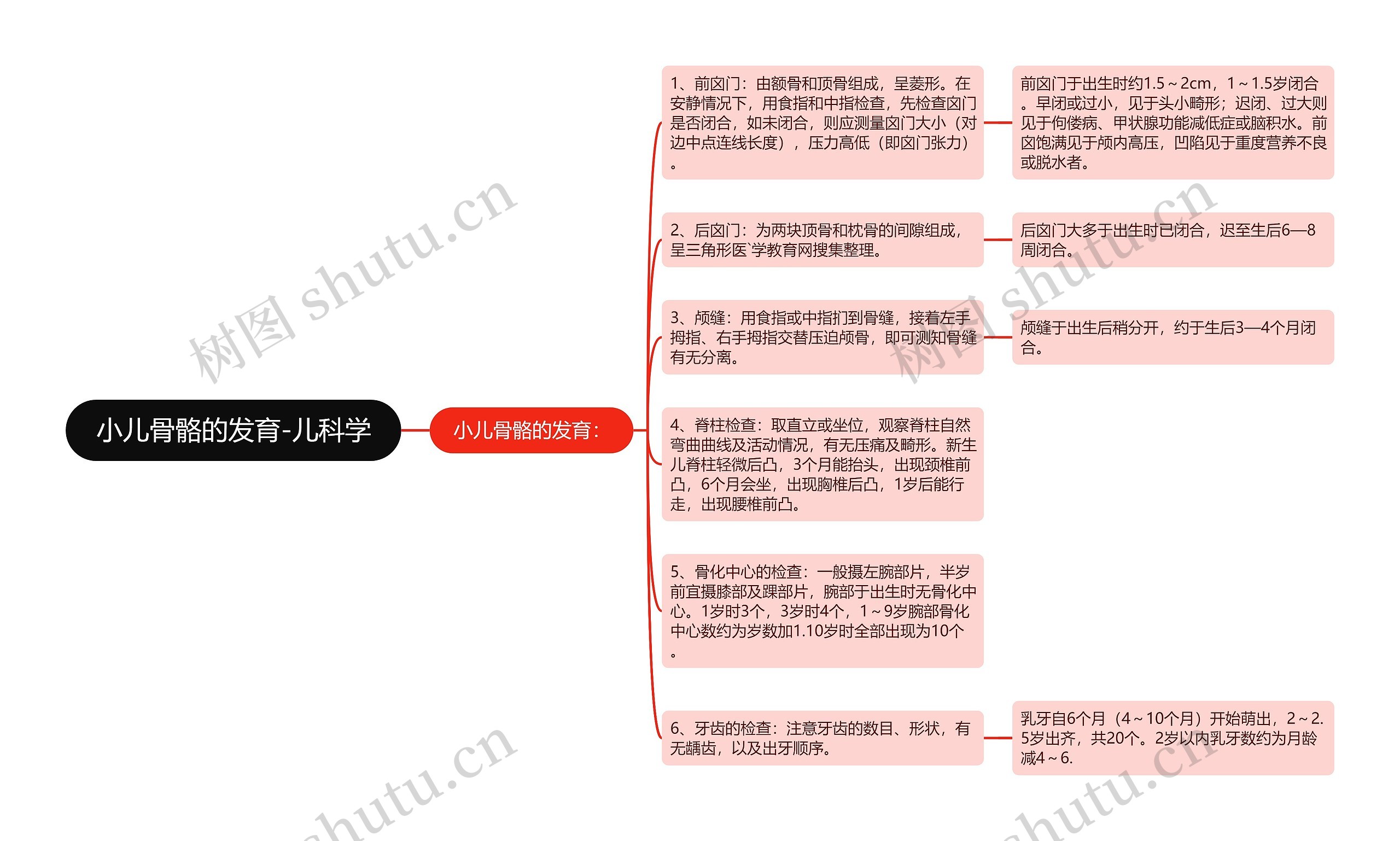 小儿骨骼的发育-儿科学思维导图