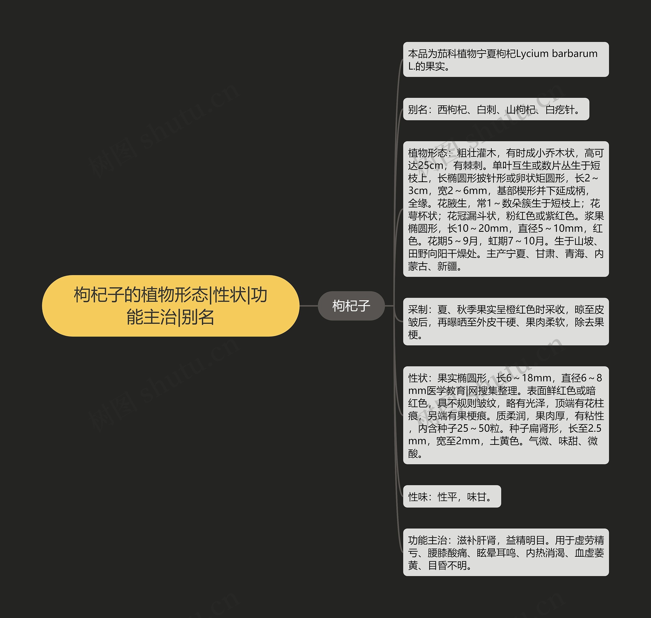 枸杞子的植物形态|性状|功能主治|别名 枸杞子的植物形态|性状|功能主治|别名