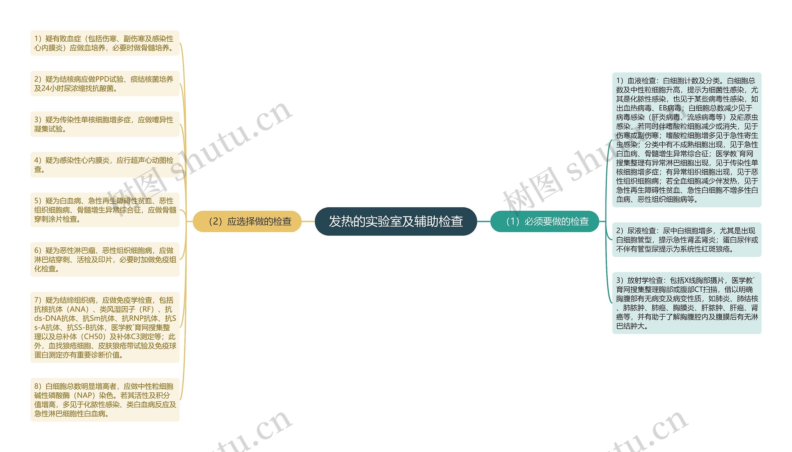 发热的实验室及辅助检查思维导图