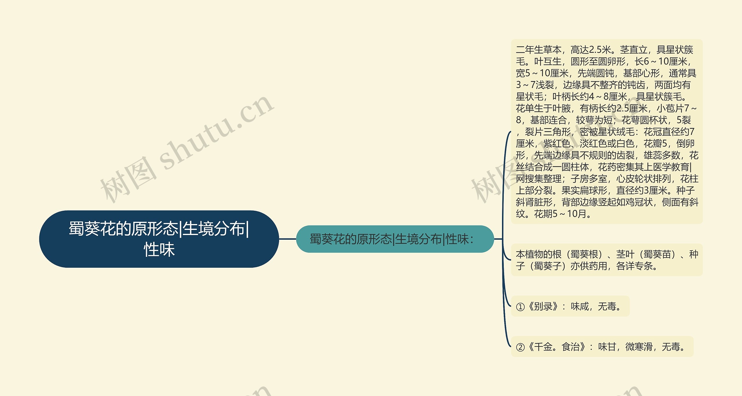 蜀葵花的原形态|生境分布|性味