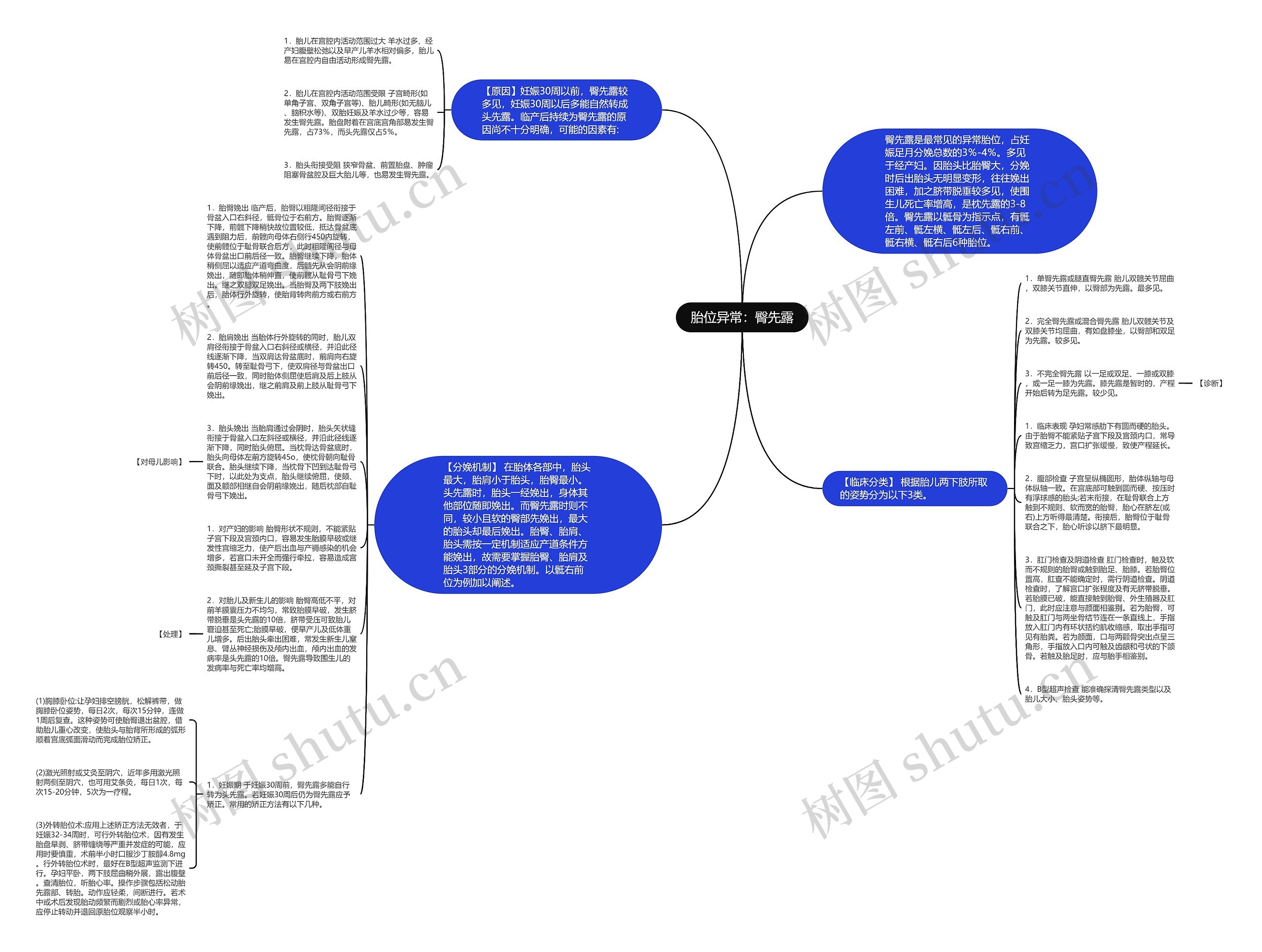 胎位异常：臀先露思维导图