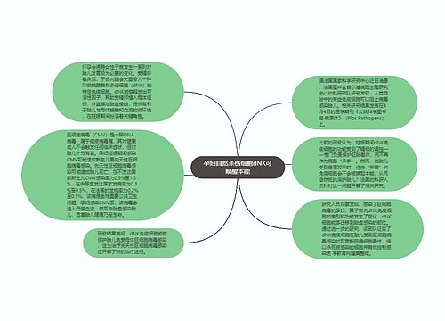 孕妇自然杀伤细胞dNK可唤醒本能