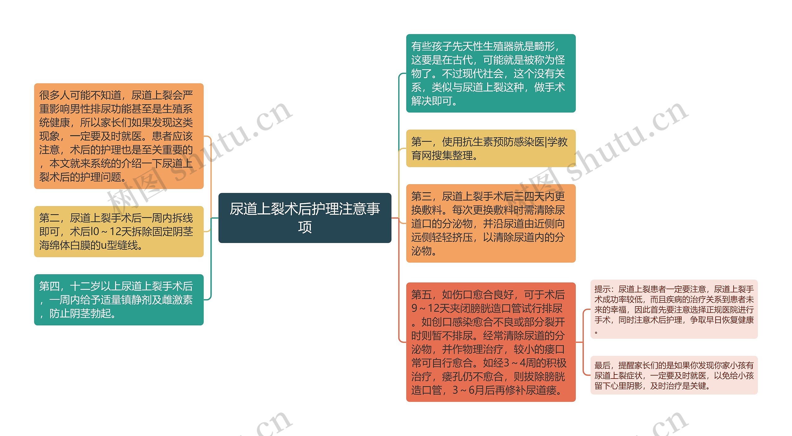 尿道上裂术后护理注意事项思维导图