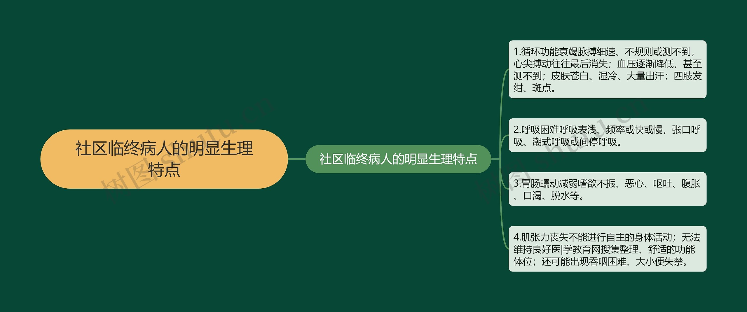 社区临终病人的明显生理特点思维导图