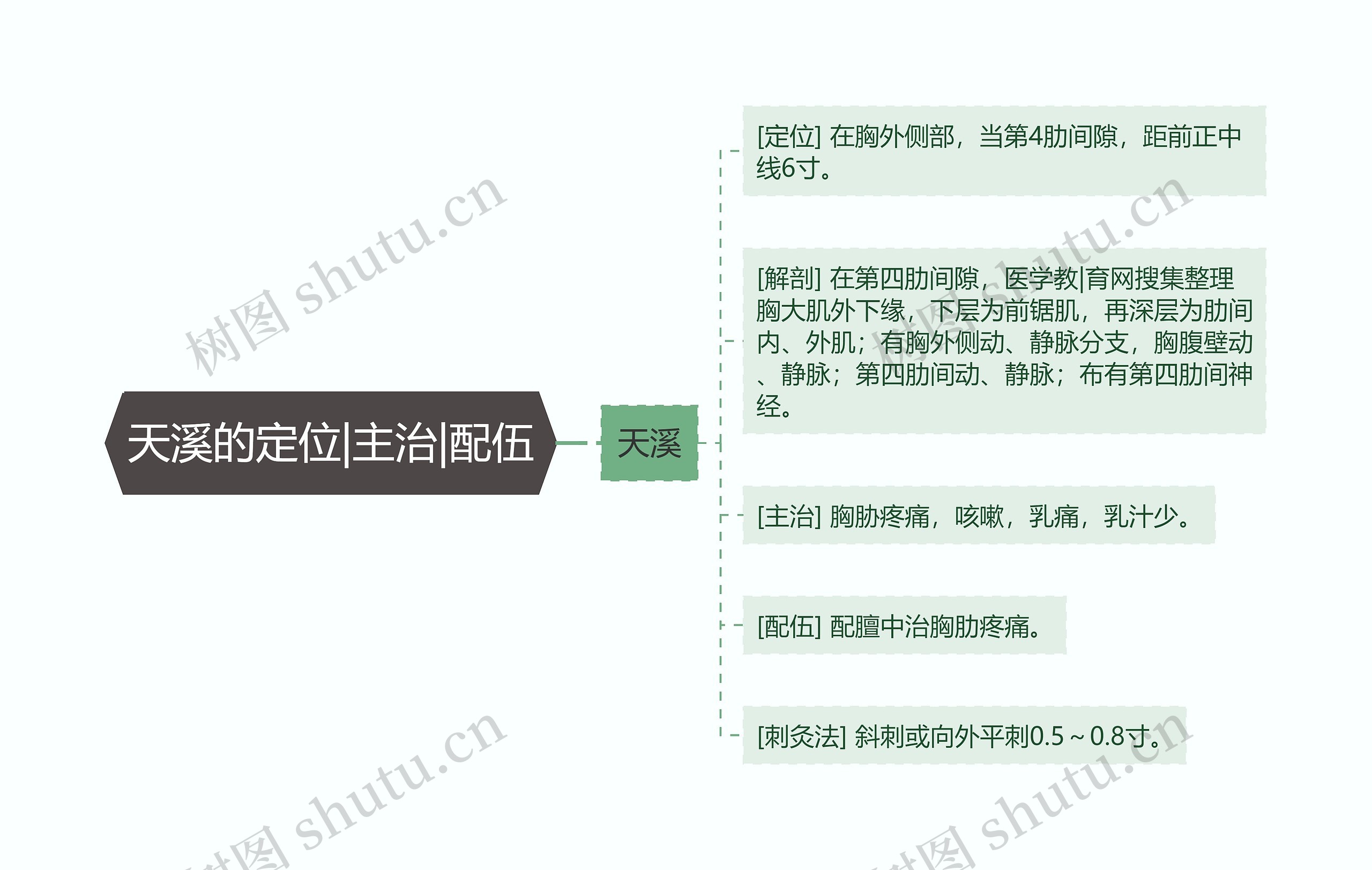 天溪的定位|主治|配伍思维导图