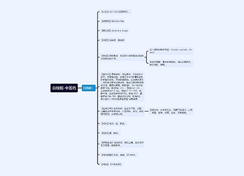 白线蛇-中医药