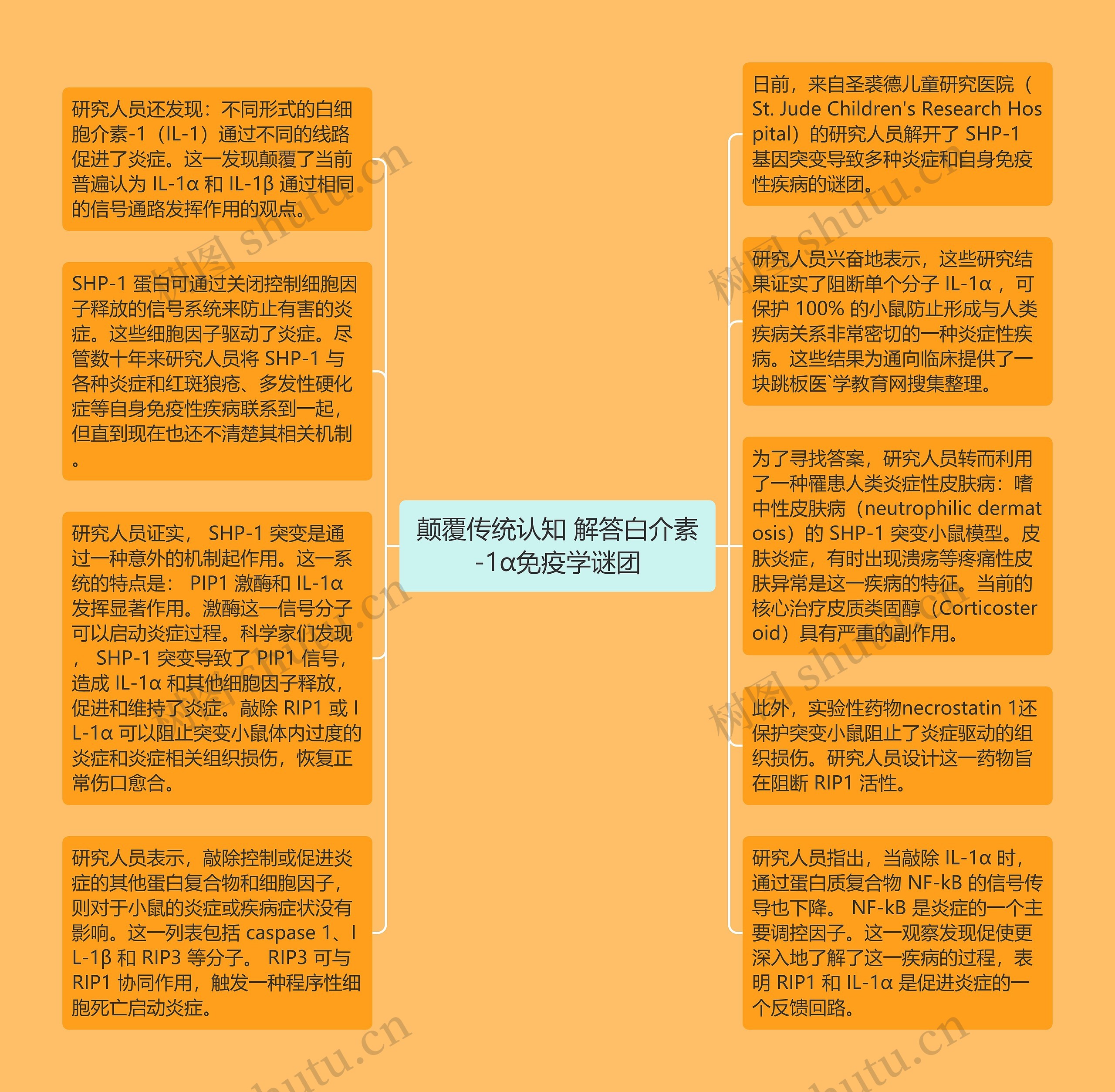 颠覆传统认知 解答白介素-1α免疫学谜团