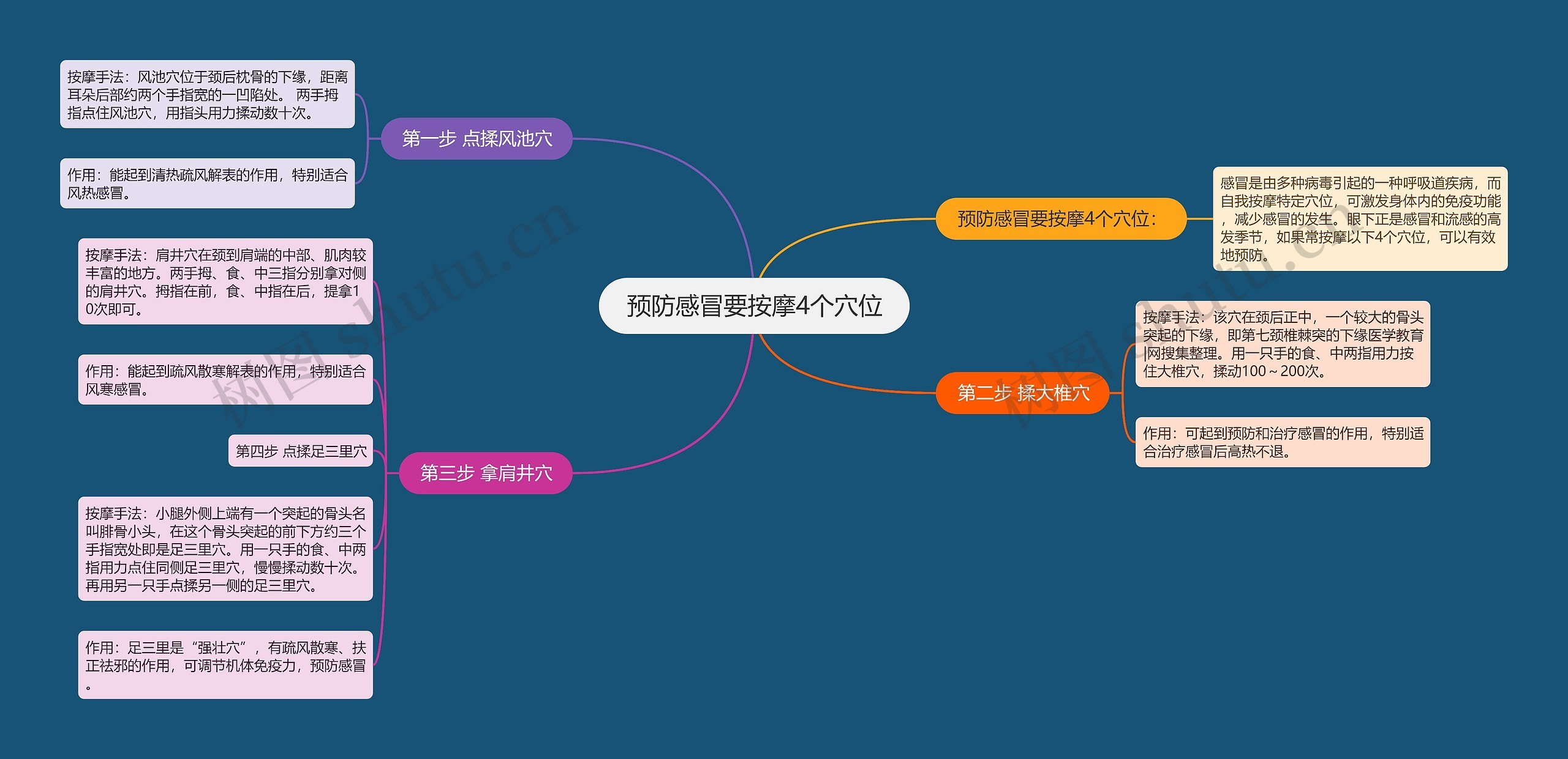 预防感冒要按摩4个穴位思维导图