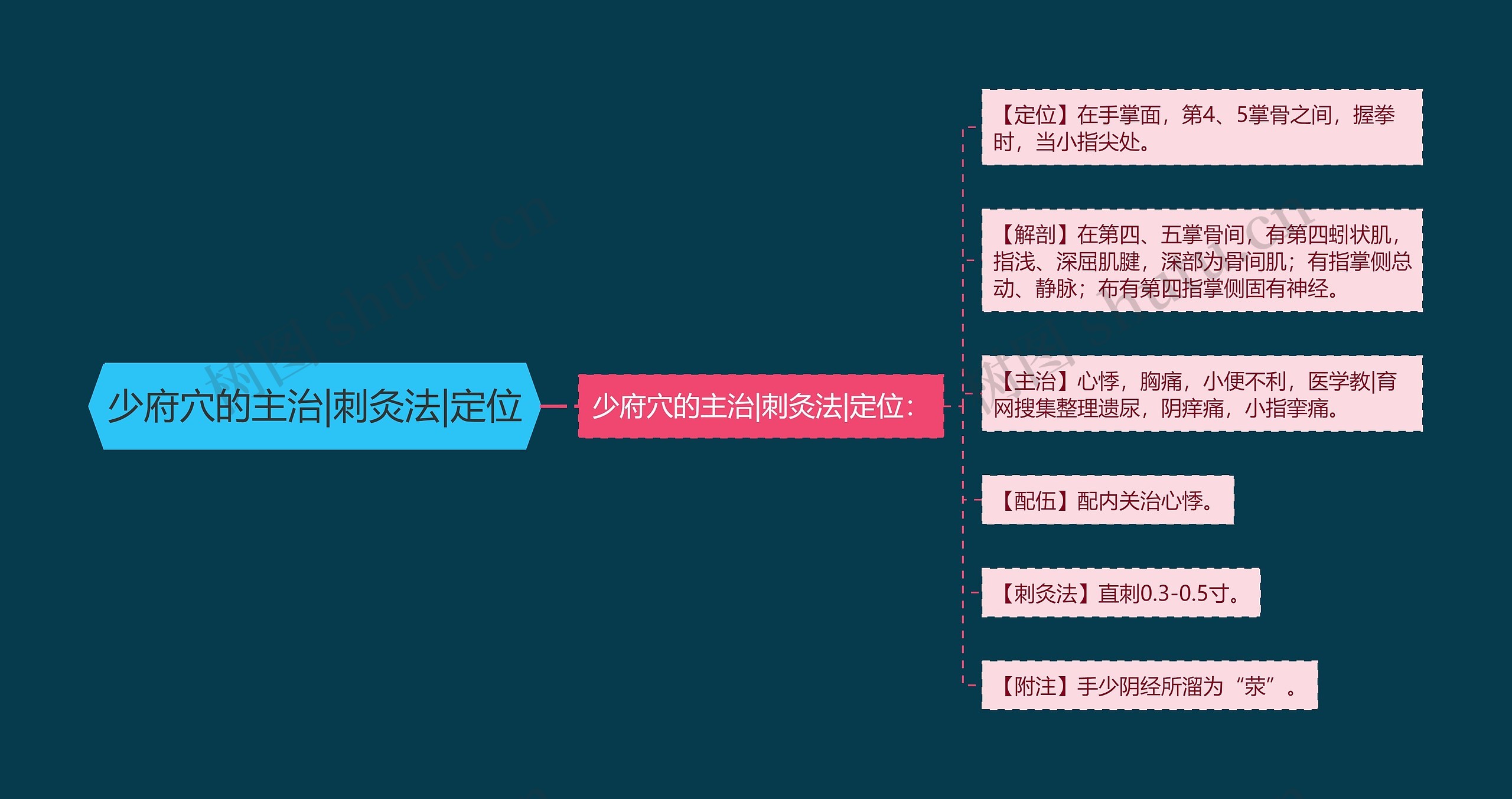 少府穴的主治|刺灸法|定位思维导图