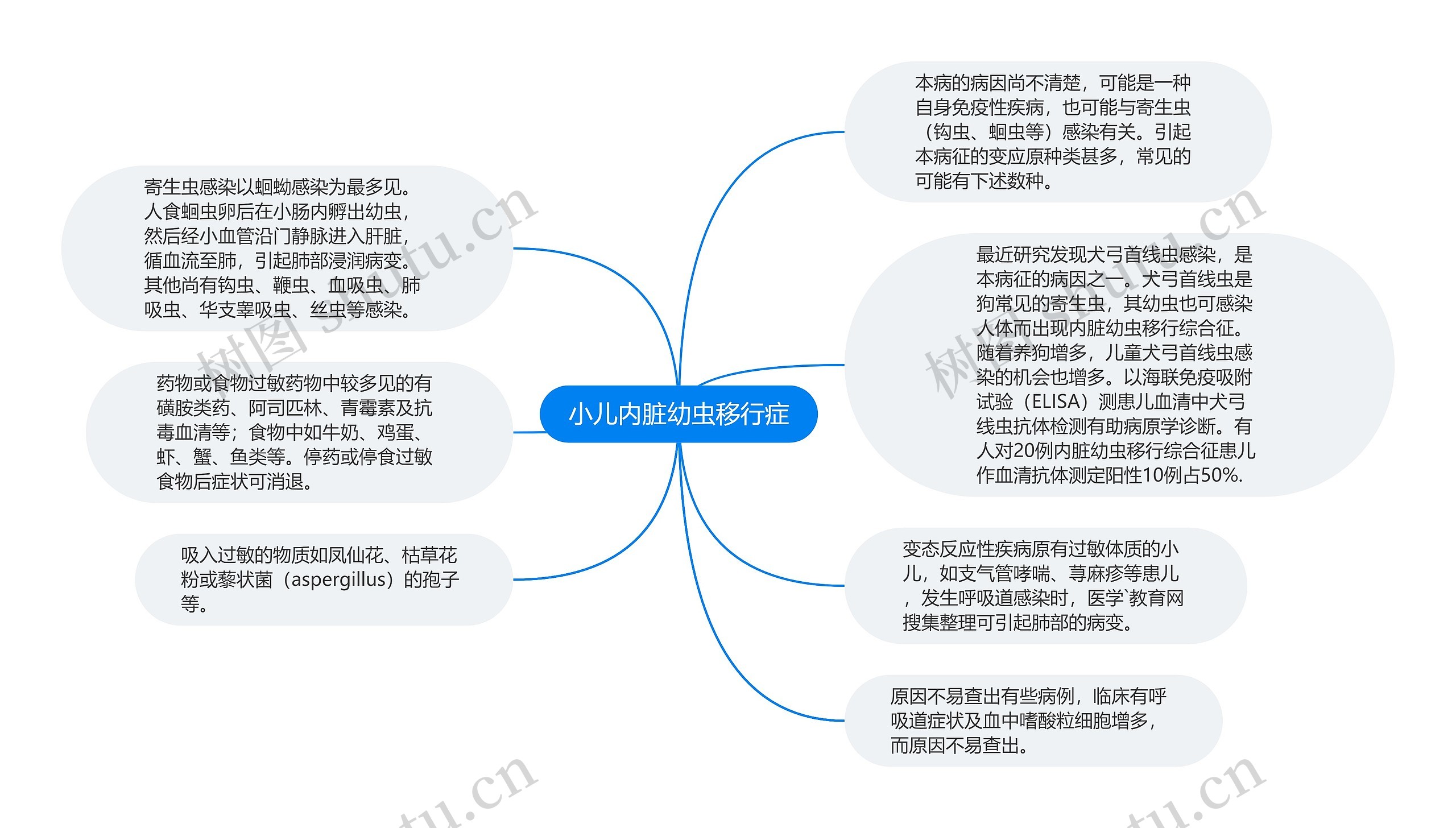 小儿内脏幼虫移行症思维导图