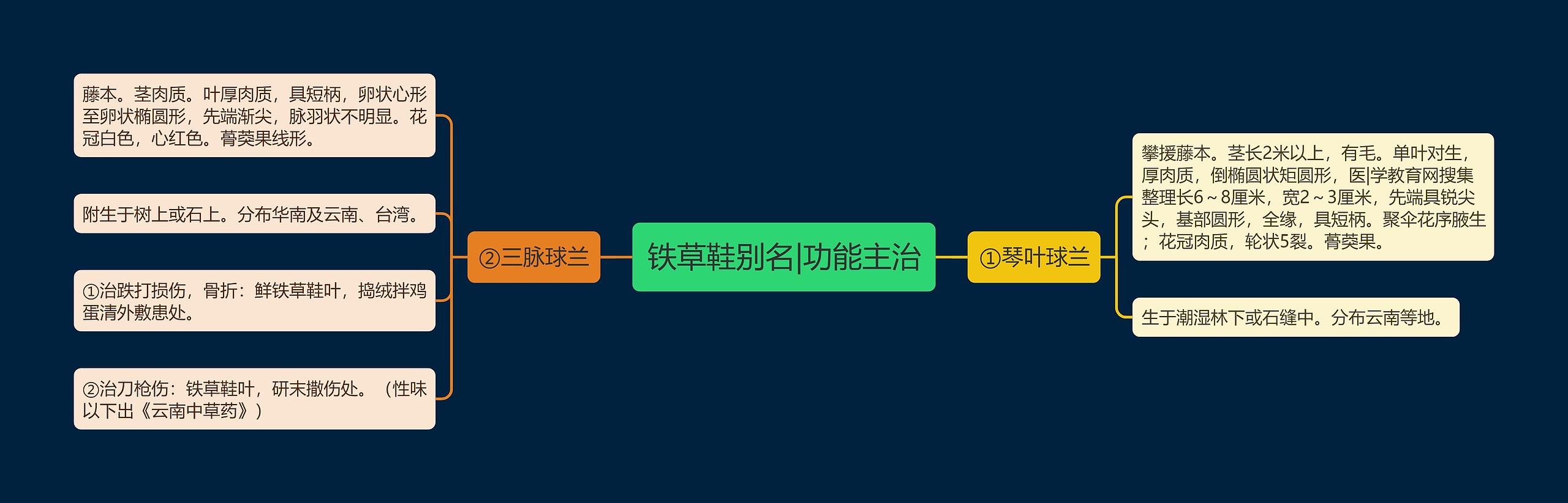 铁草鞋别名|功能主治 铁草鞋别名|功能主治