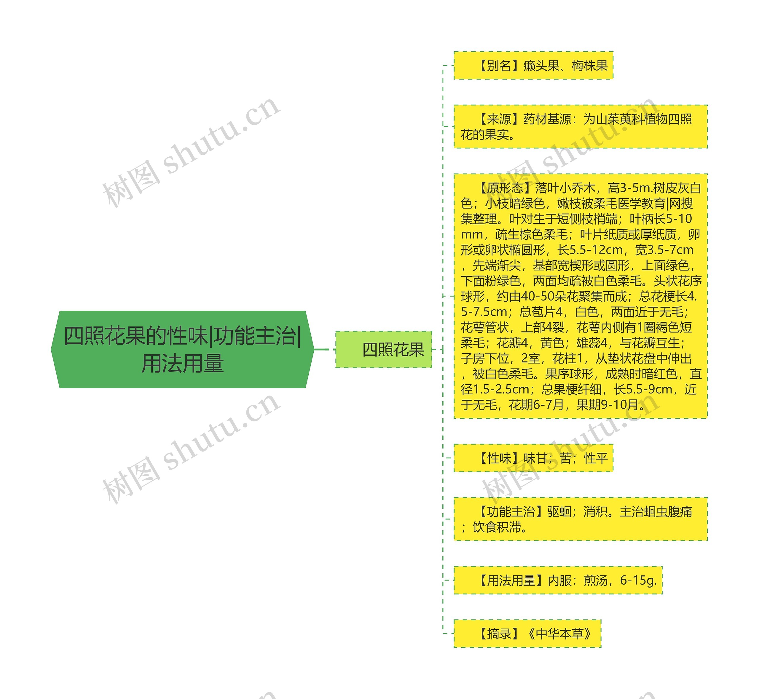 四照花果的性味|功能主治|用法用量