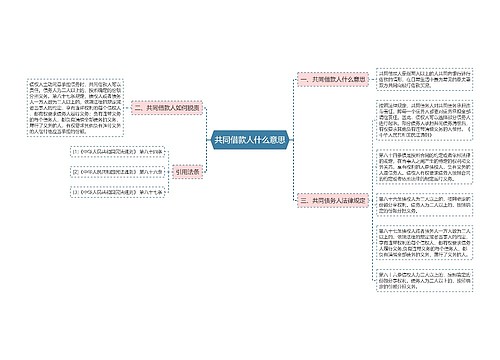 共同借款人什么意思